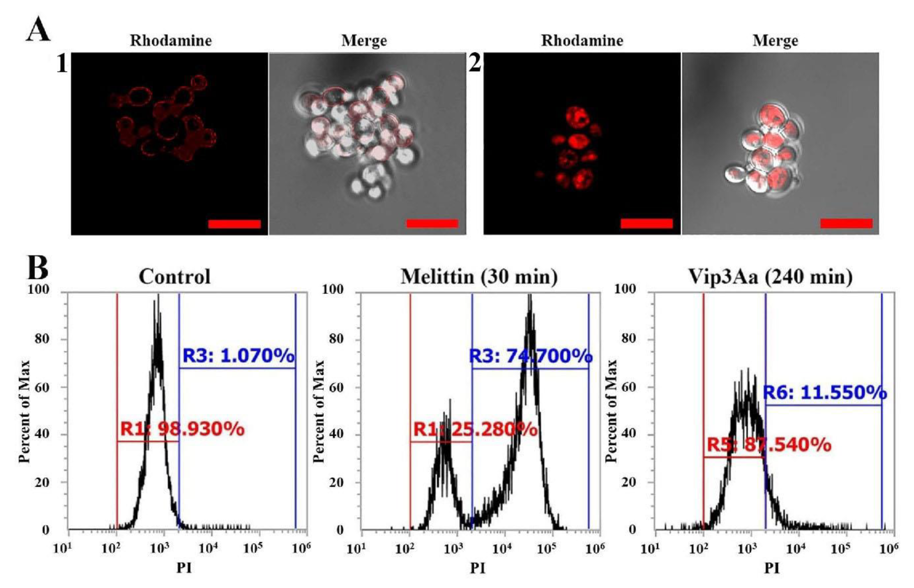 Antibiotics 10 01558 g005