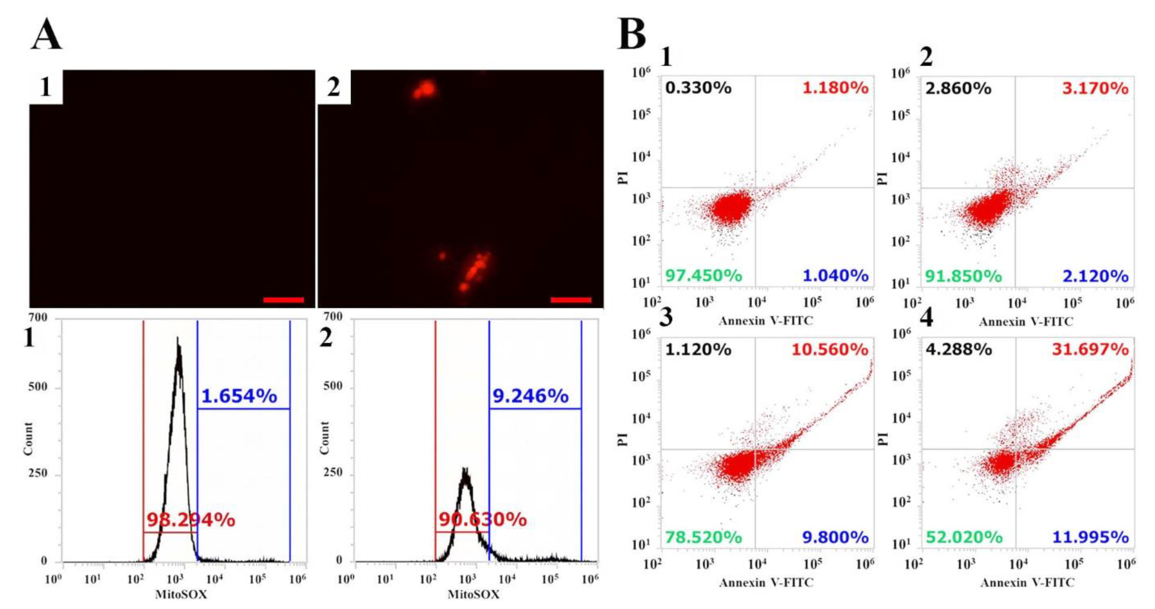 Antibiotics 10 01558 g006