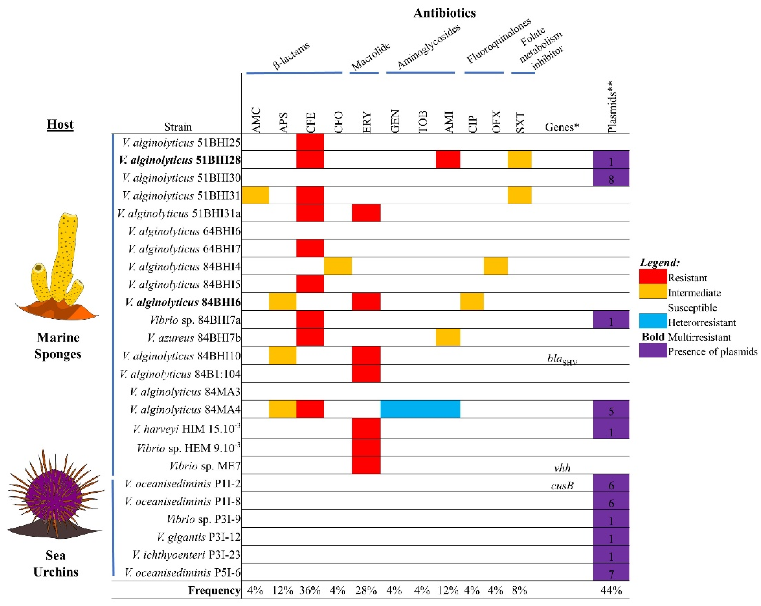 Antibiotics 10 01561 g001 Antibiotics 10 01561 g001