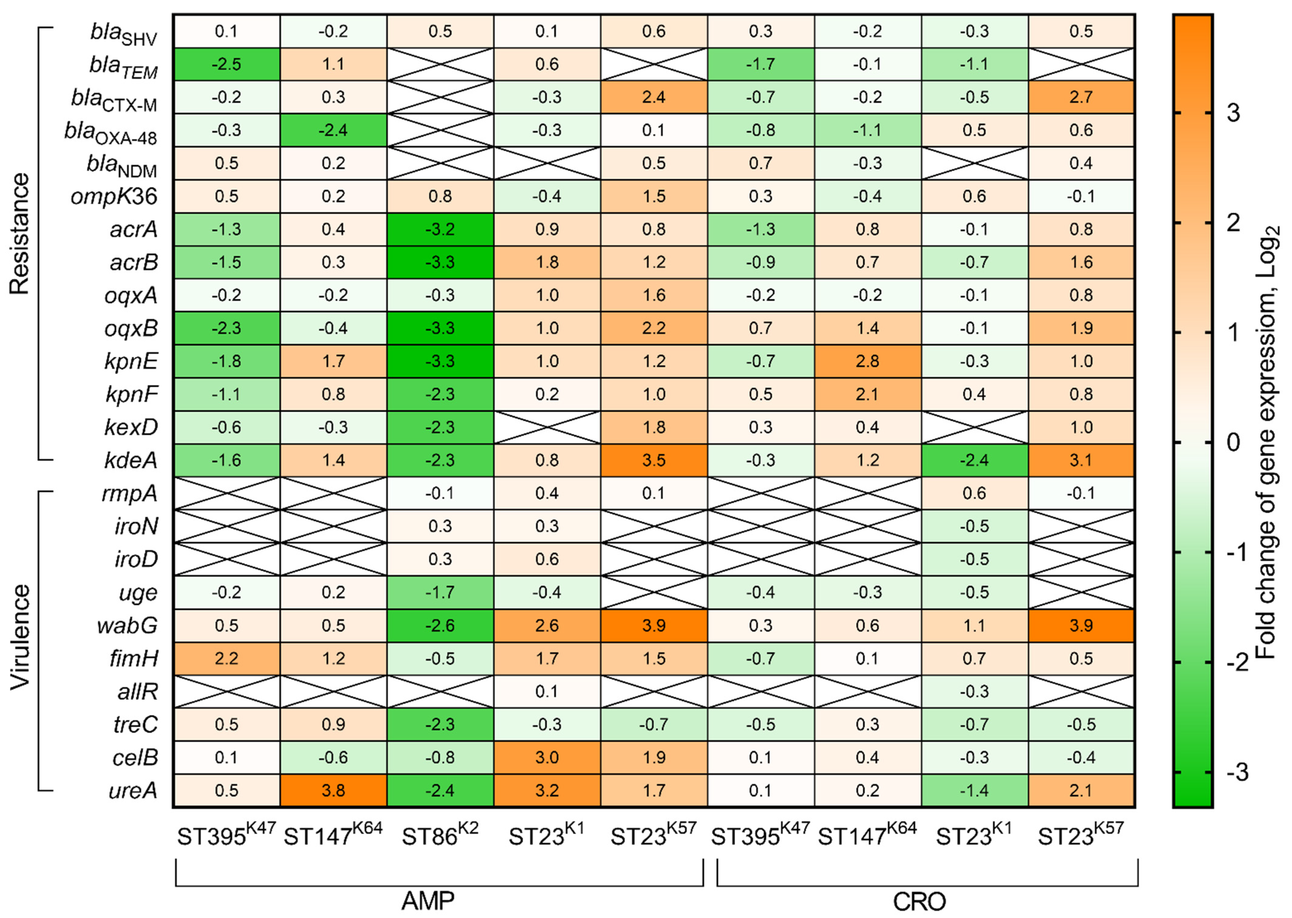 Antibiotics 11 00007 g004