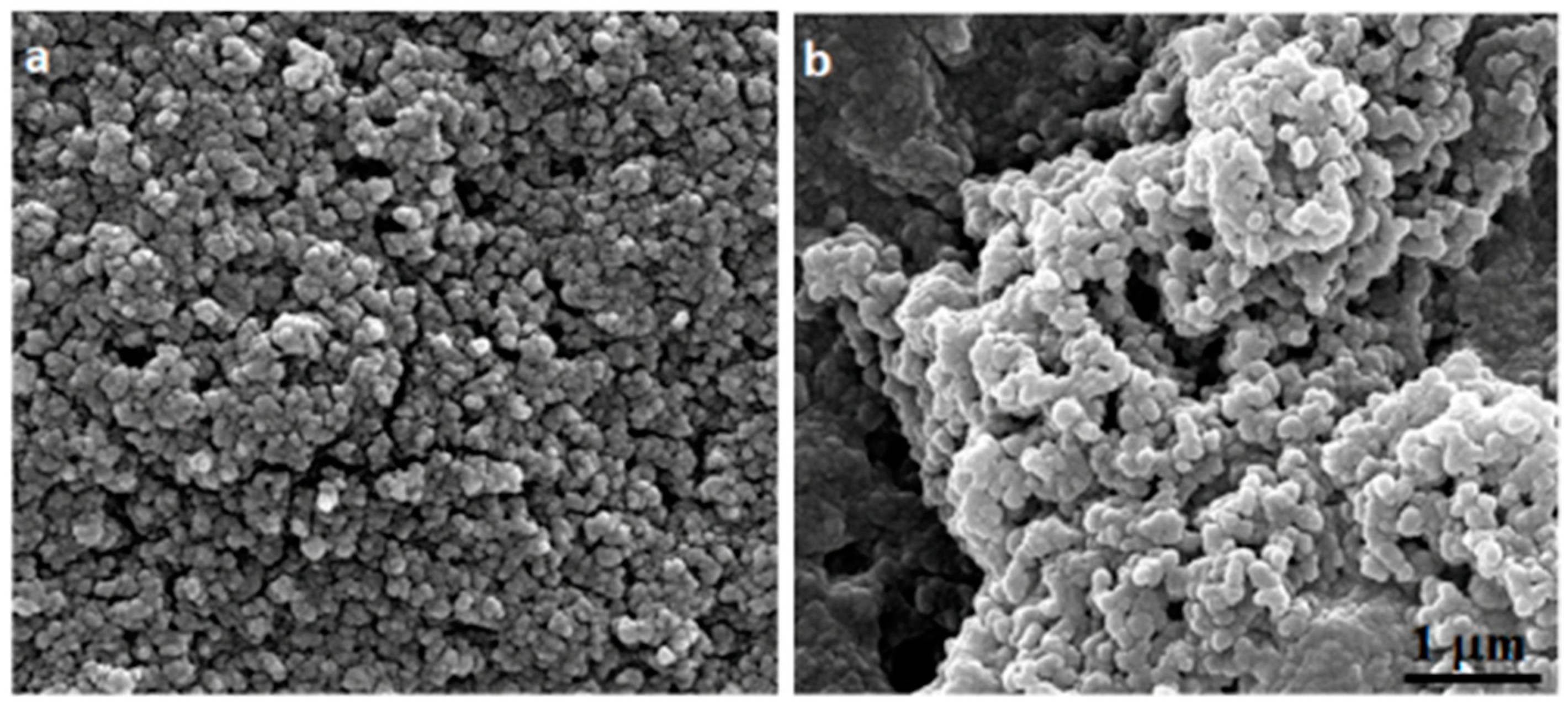 Antibiotics 11 00011 g002