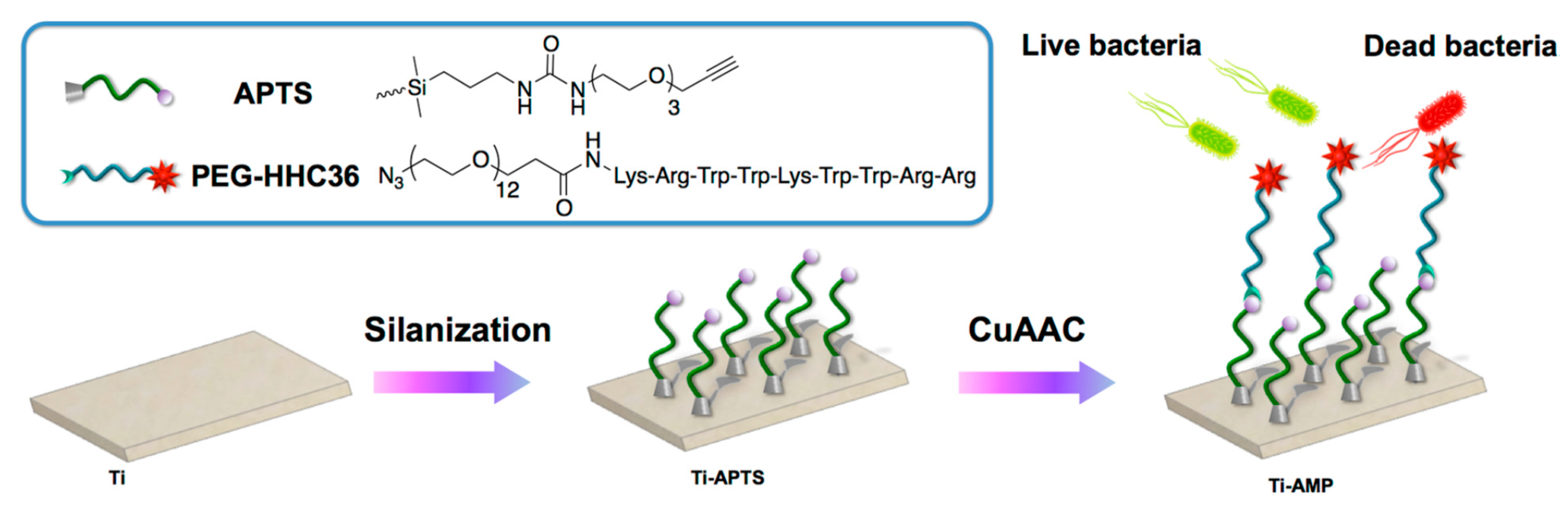 Antibiotics 11 00013 g008