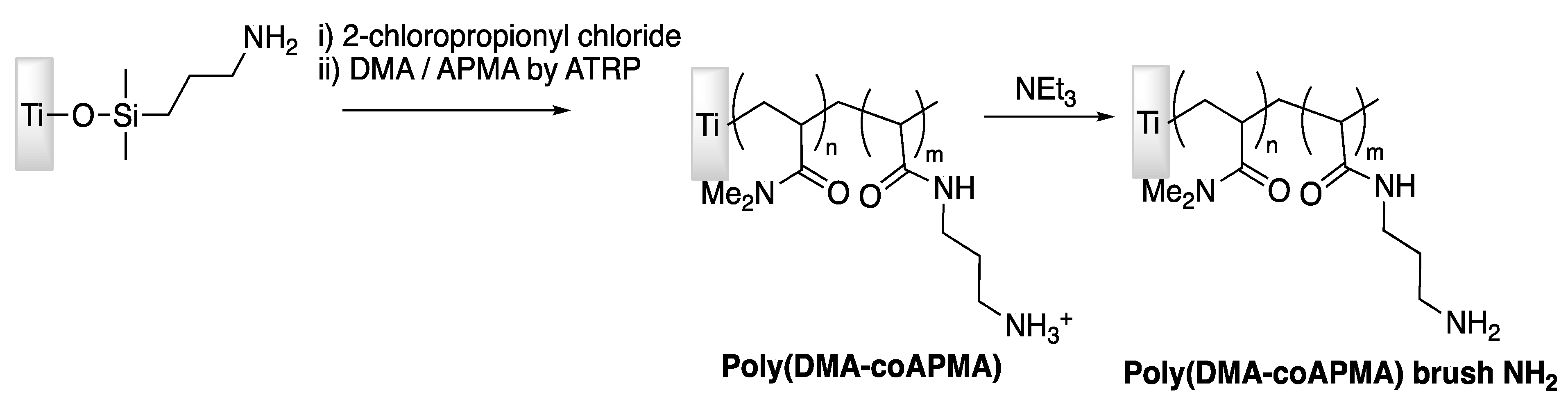 Antibiotics 11 00013 g009