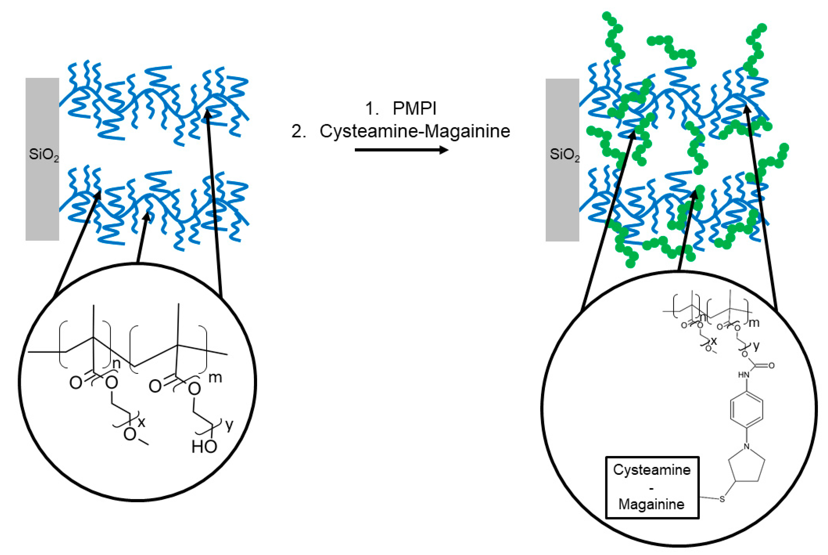 Antibiotics 11 00013 g012