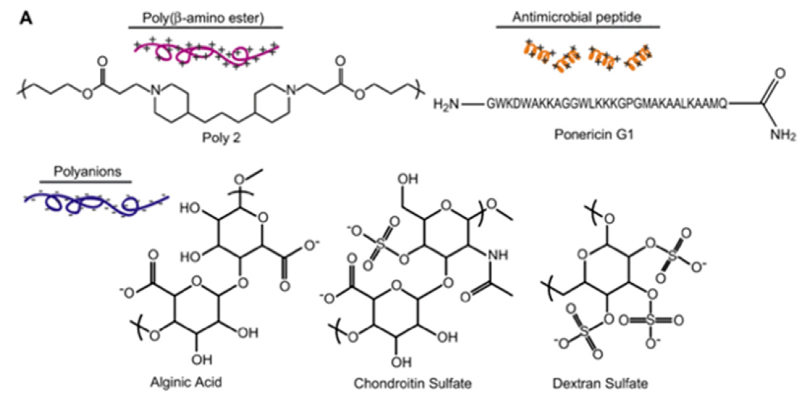 Antibiotics 11 00013 g024a