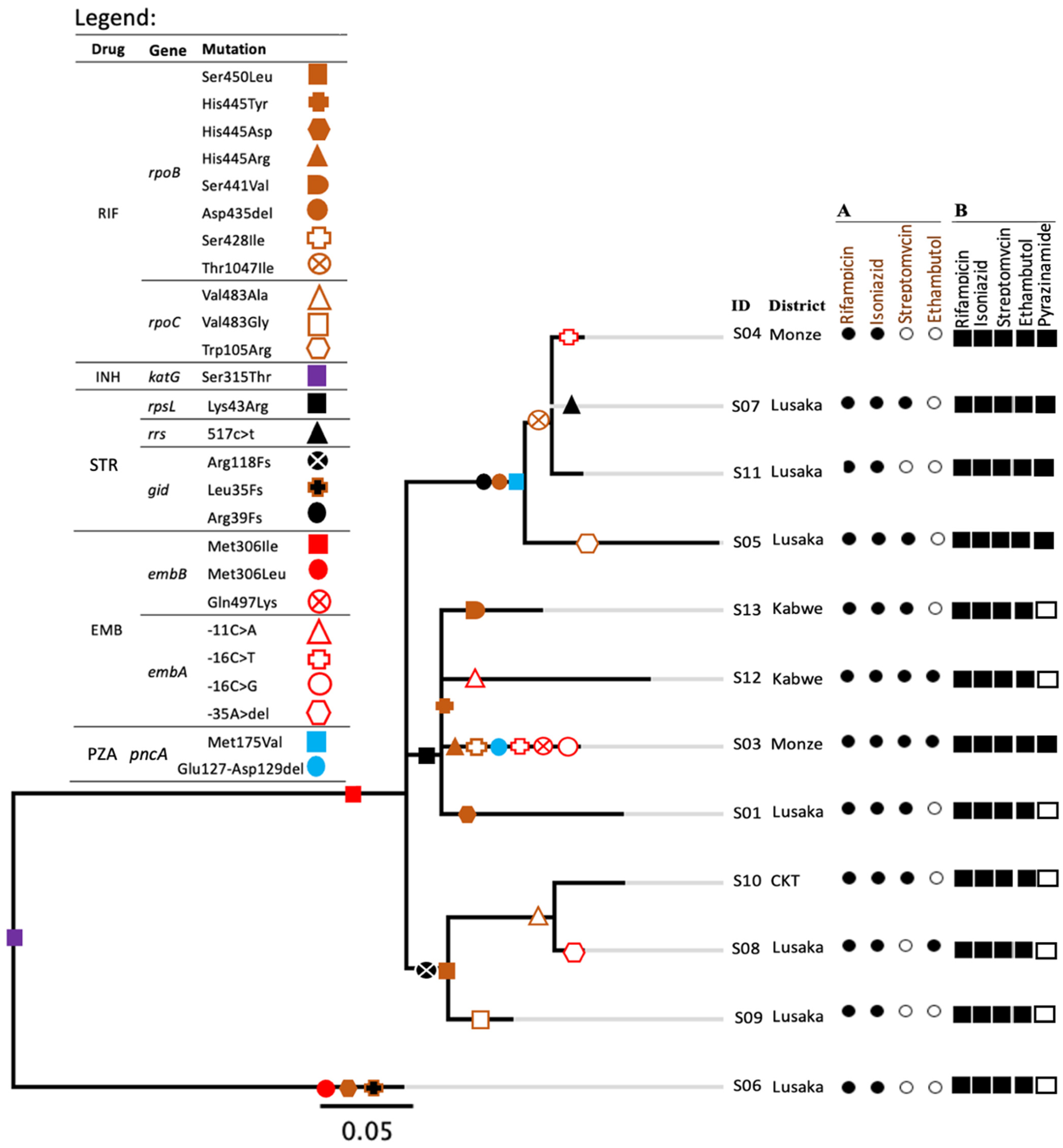 Antibiotics 11 00029 g001 Antibiotics 11 00029 g001