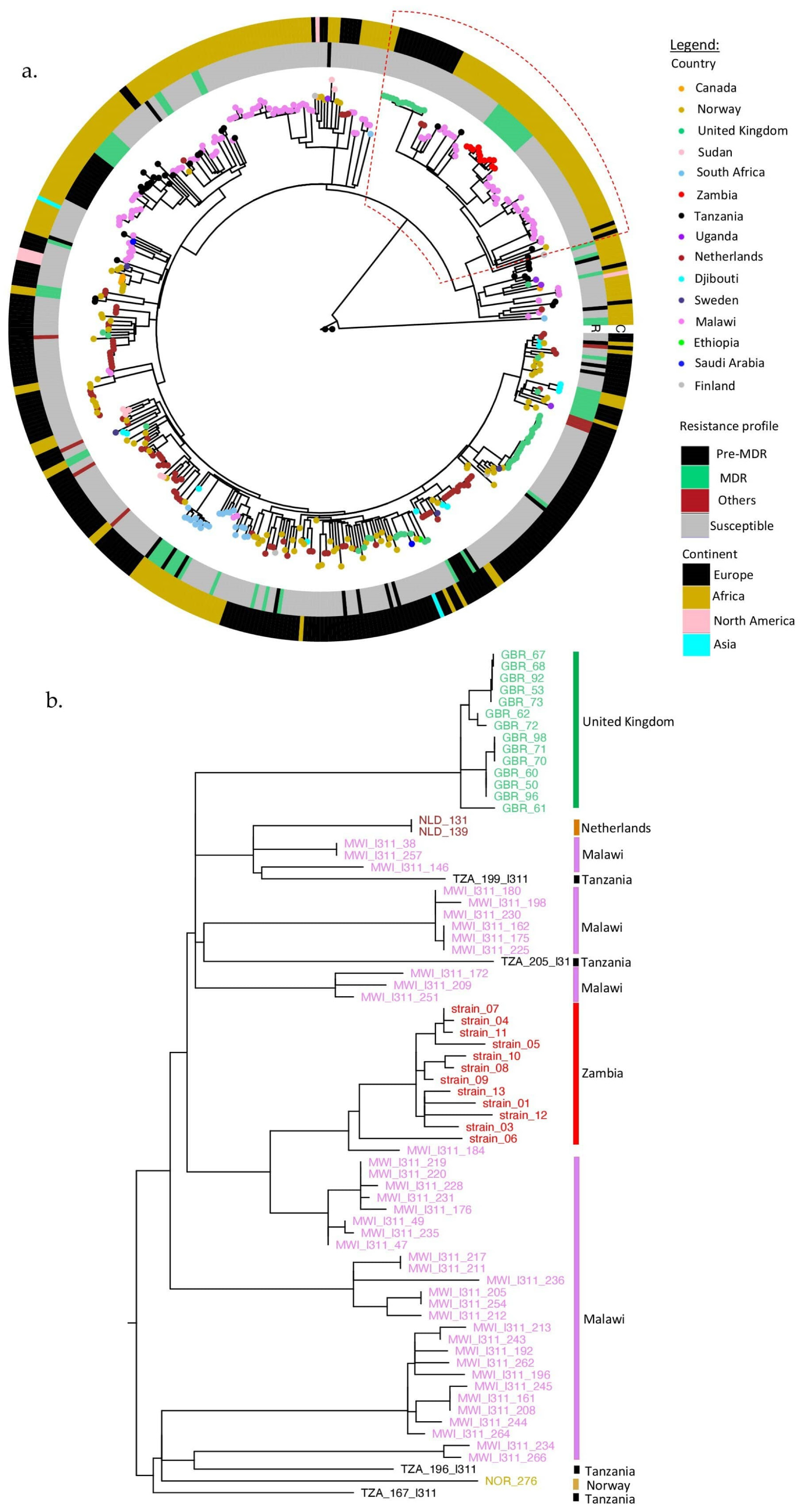 Antibiotics 11 00029 g002 Antibiotics 11 00029 g002
