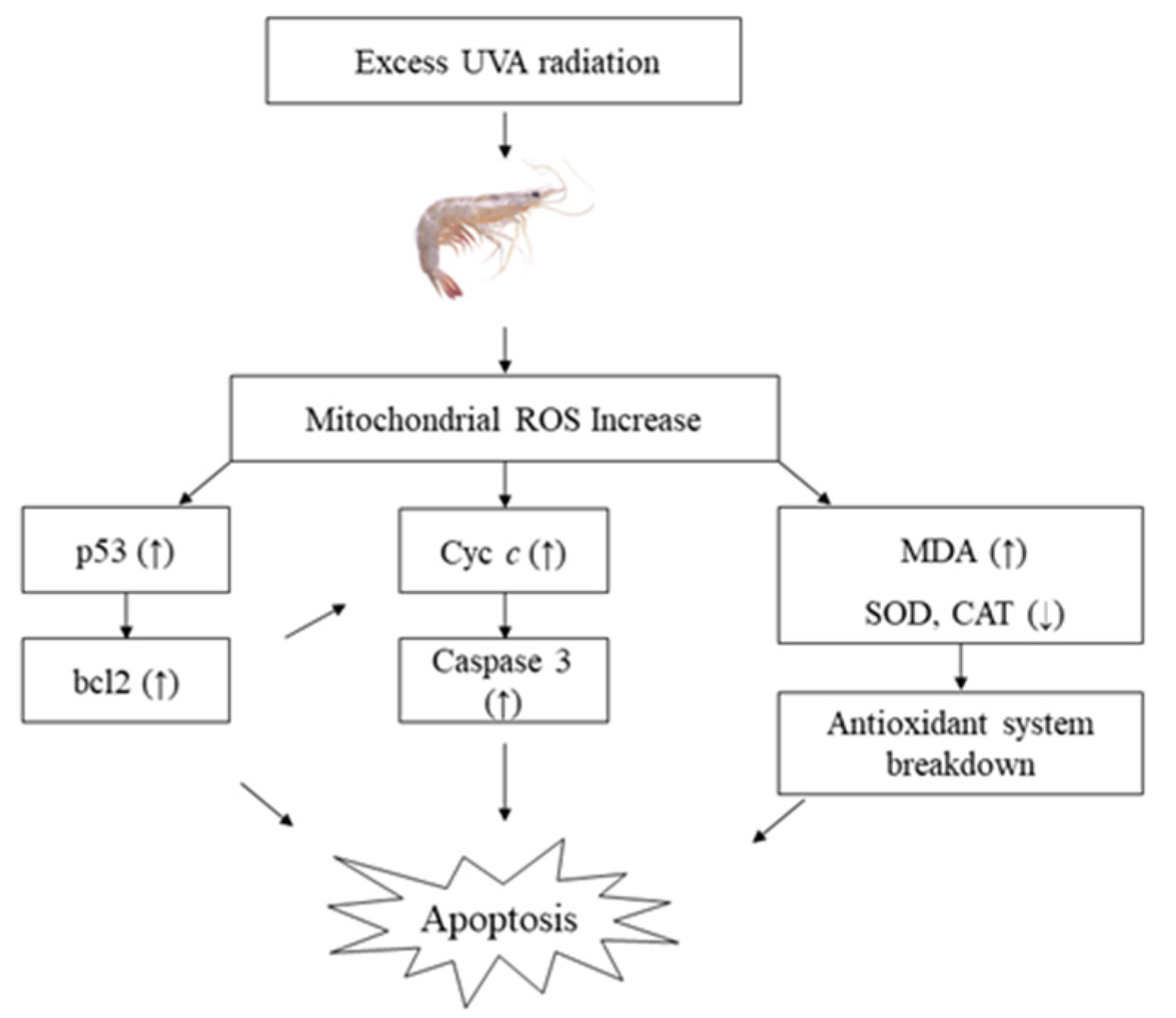 Antibiotics 11 00037 g005