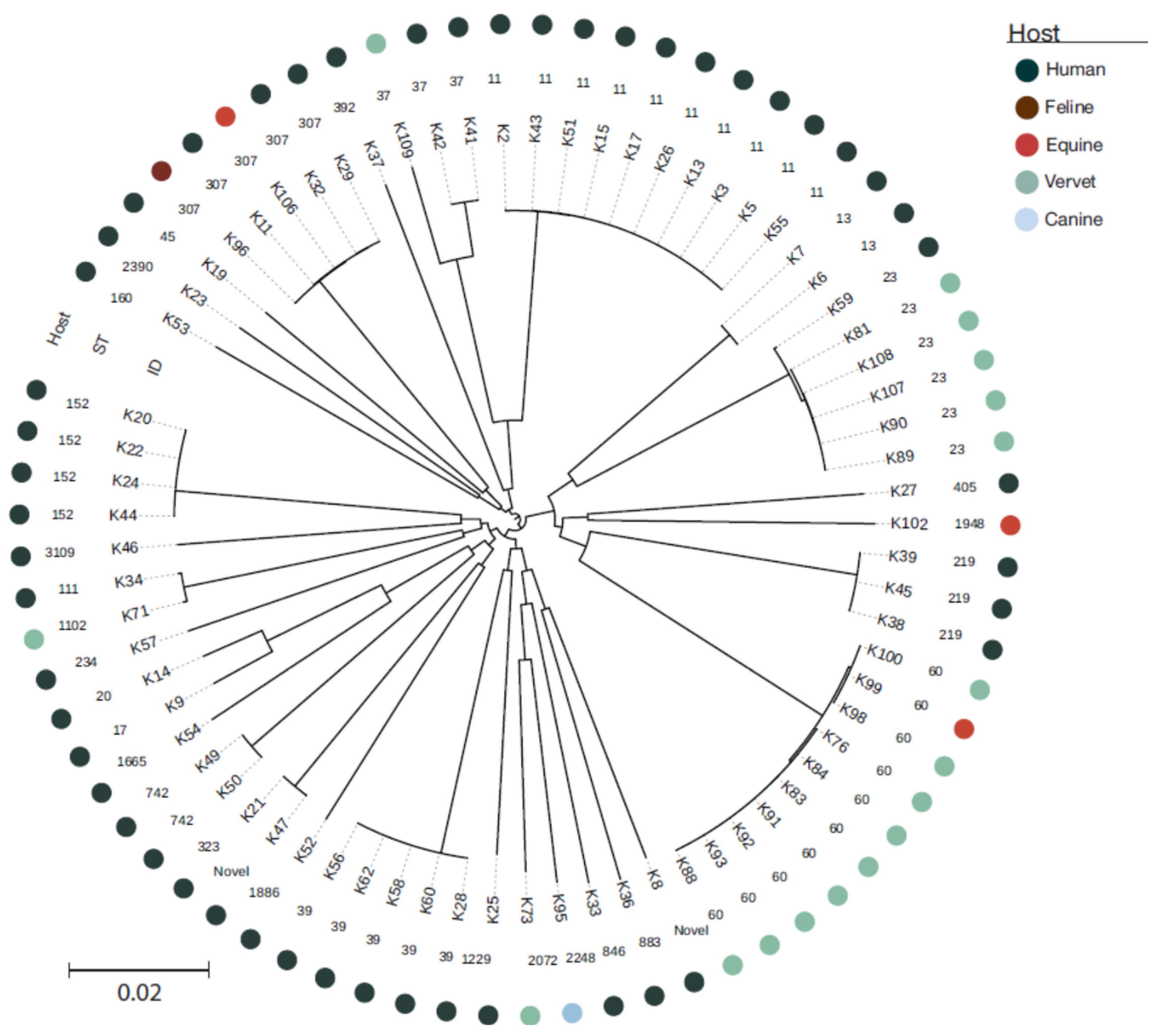 antibiotics free full text one health genomic study of human and animal klebsiella pneumoniae isolated at diagnostic laboratories on a small caribbean island html