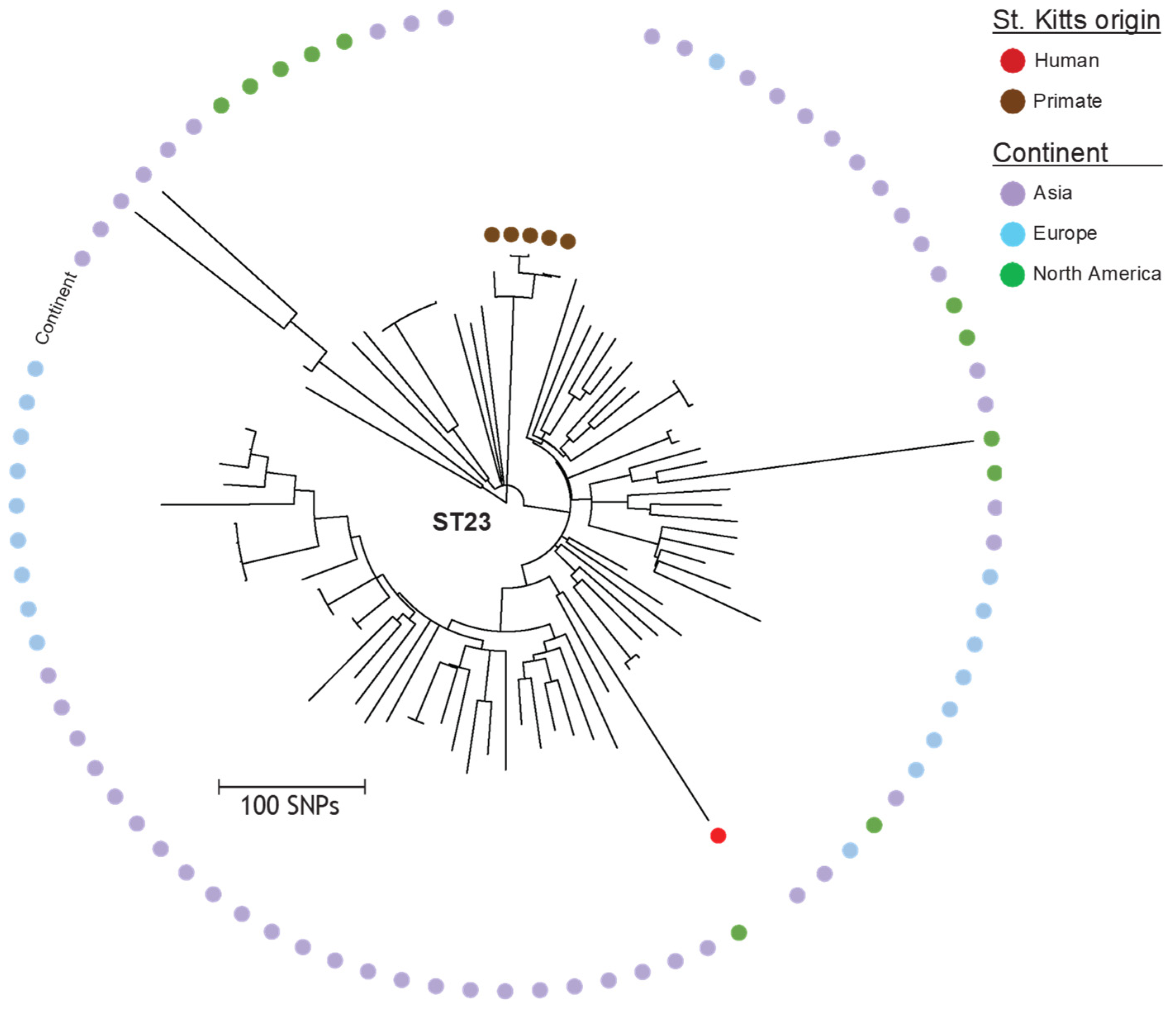 Antibiotics 11 00042 g002 550