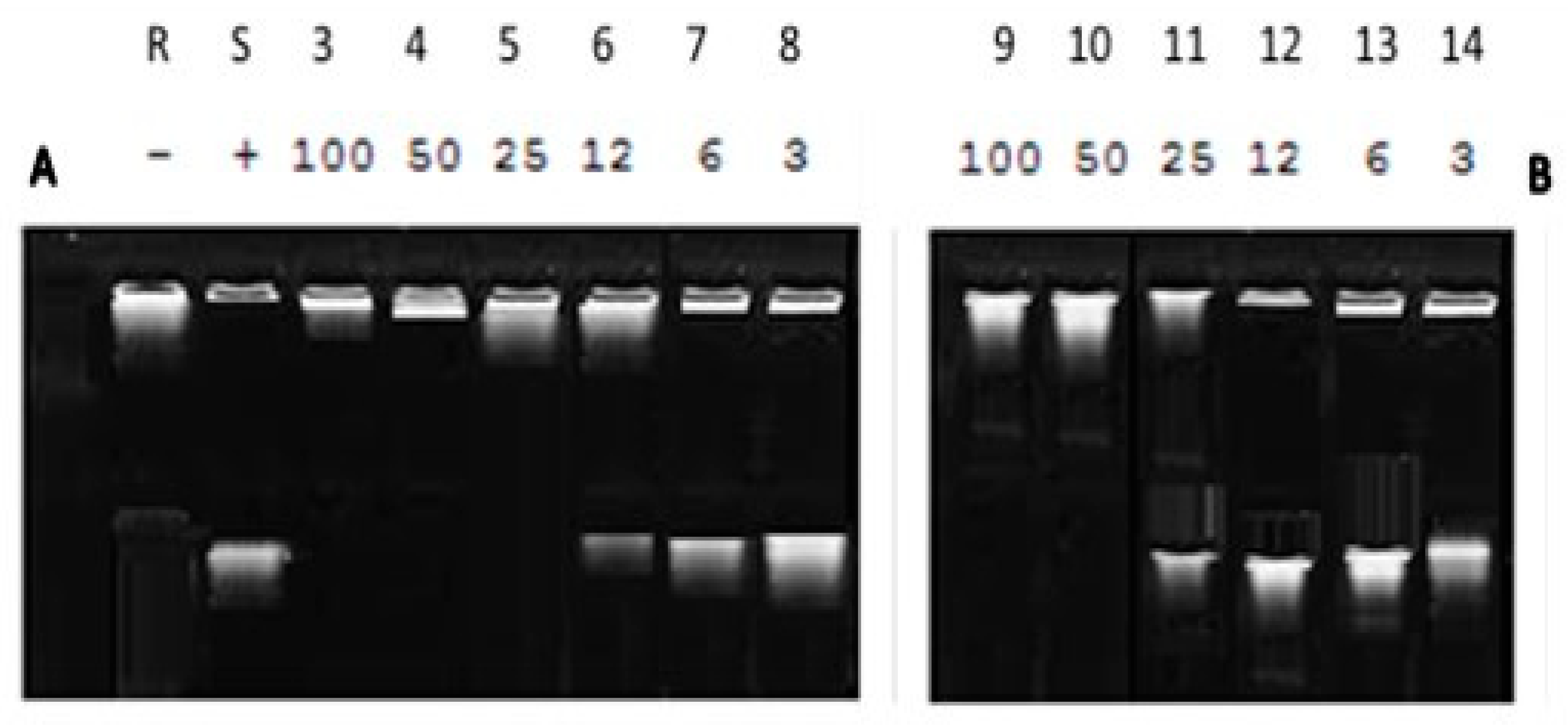 Antibiotics 11 00053 g006