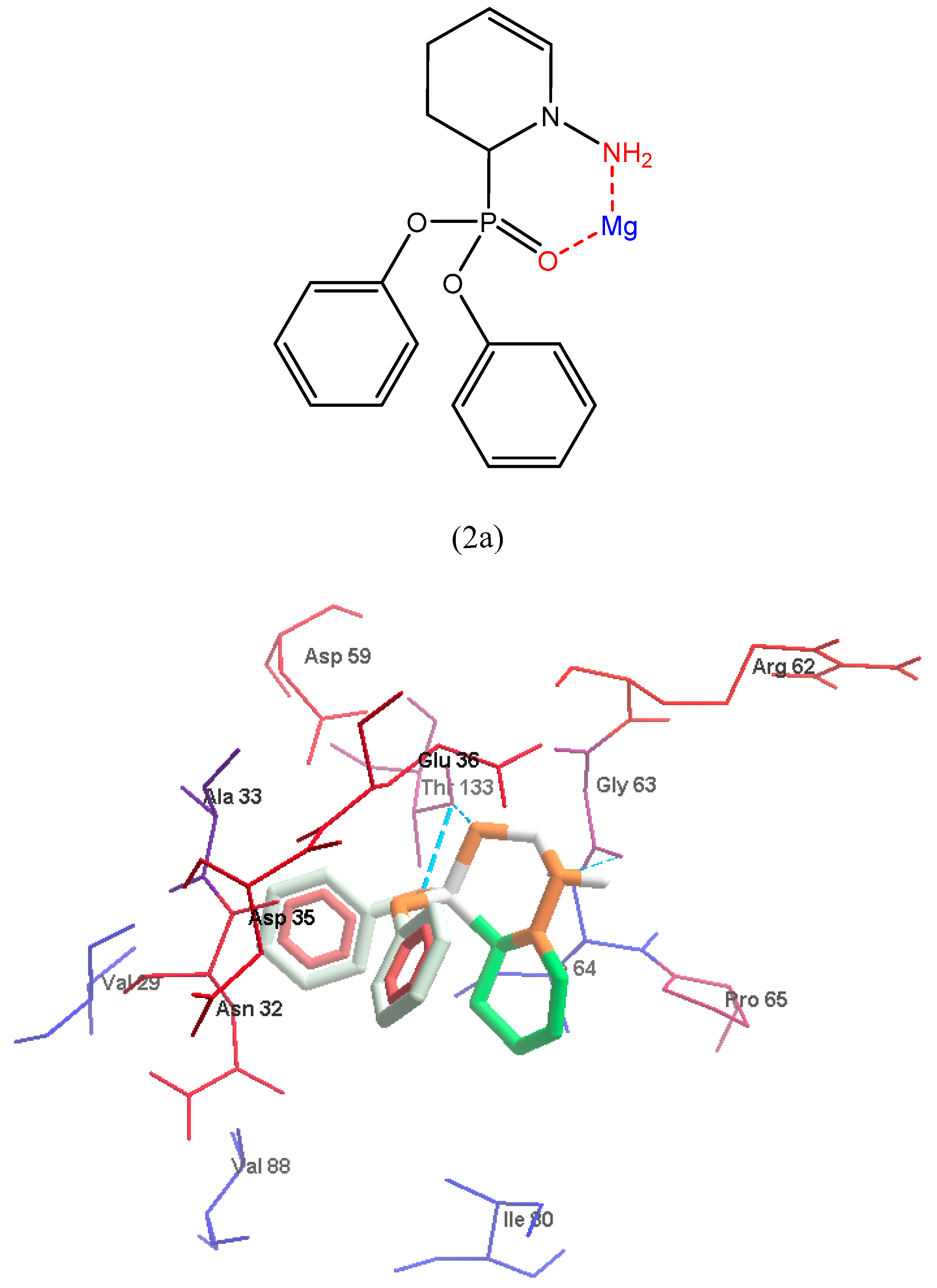 Antibiotics 11 00053 g008