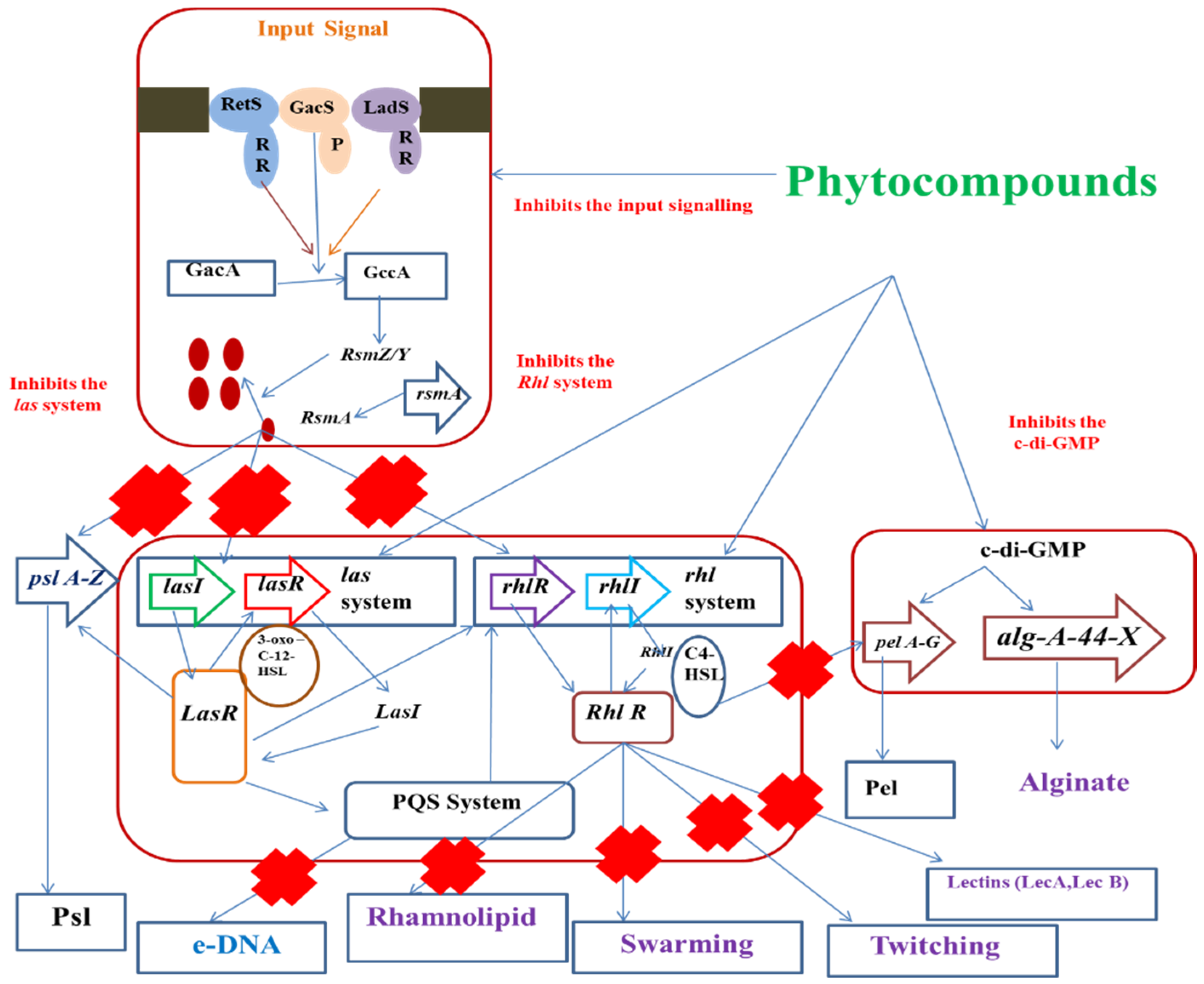 Antibiotics 11 00061 g002 550