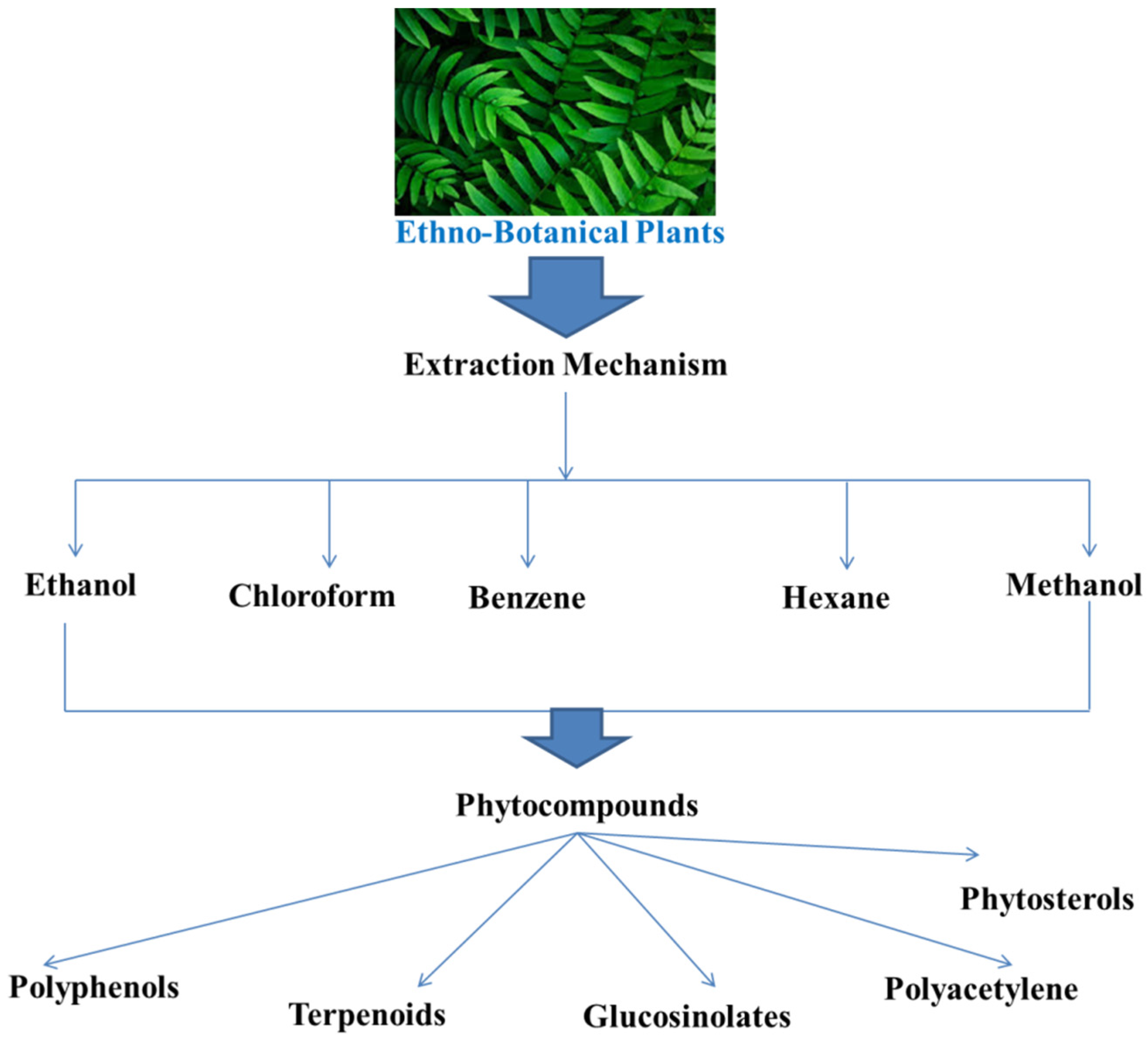 Antibiotics 11 00061 g003 550