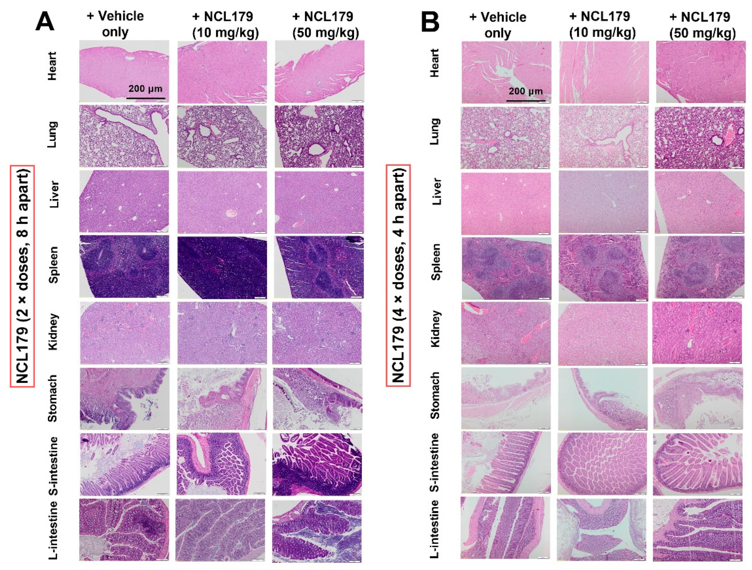 Antibiotics 11 00065 g006