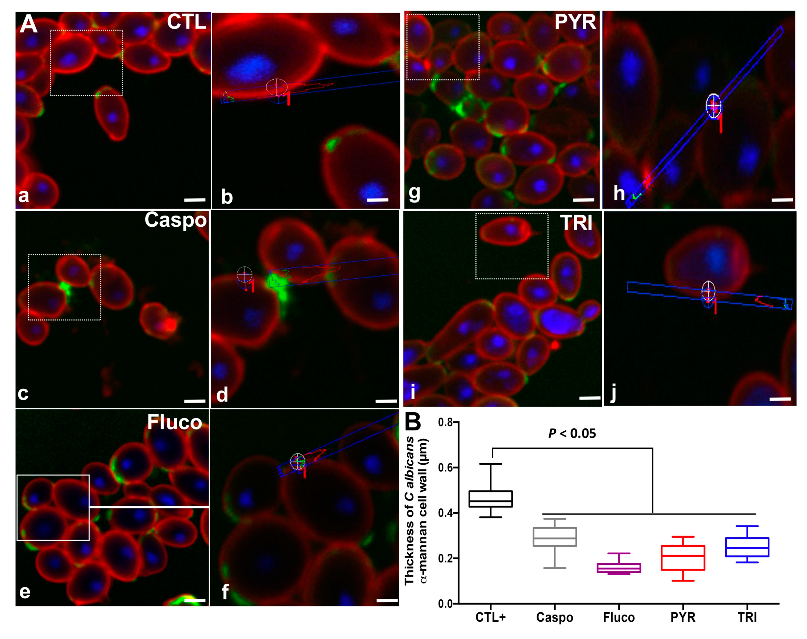 Antibiotics 11 00072 g004