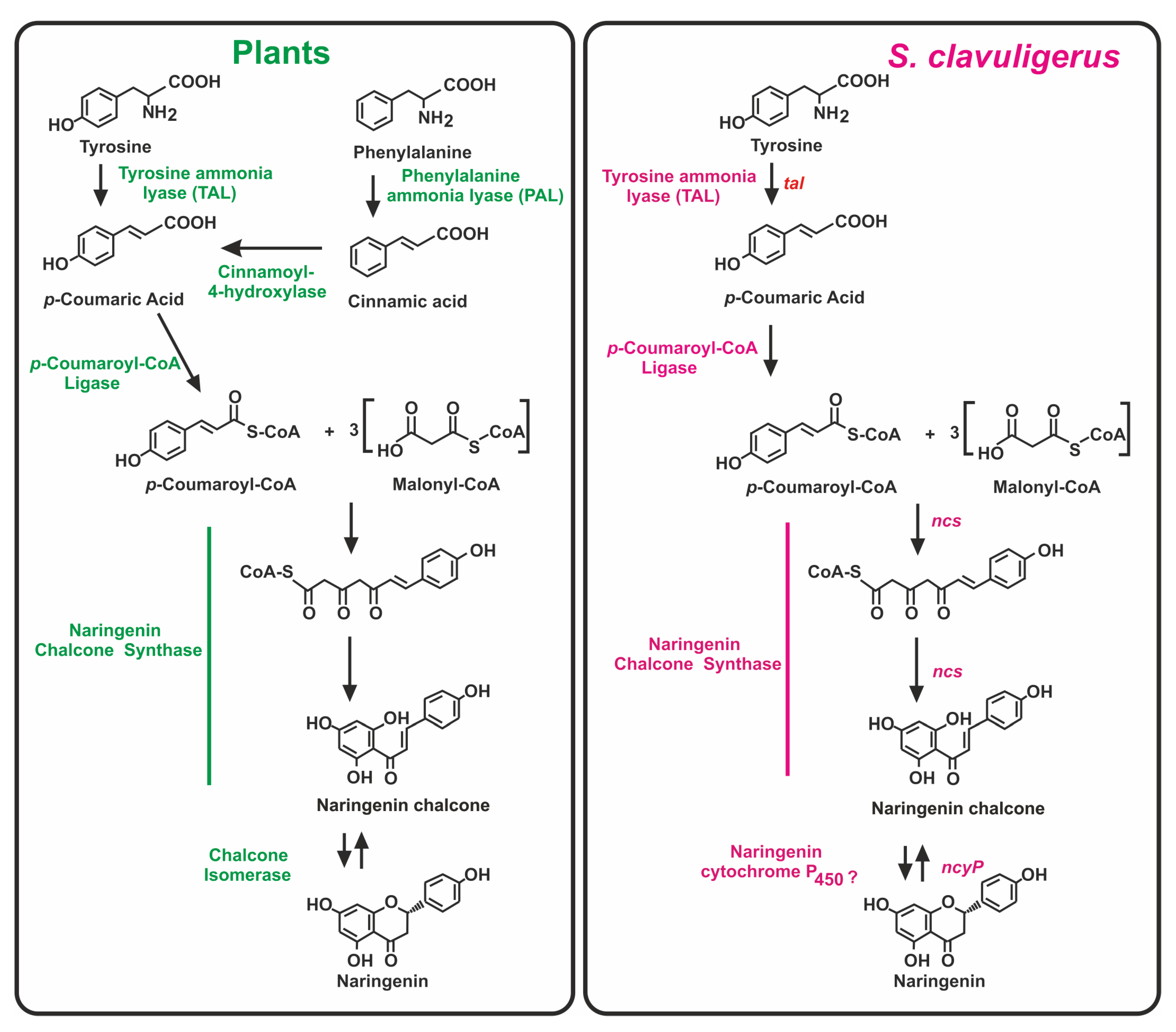 Antibiotics 11 00082 g002 Antibiotics 11 00082 g002