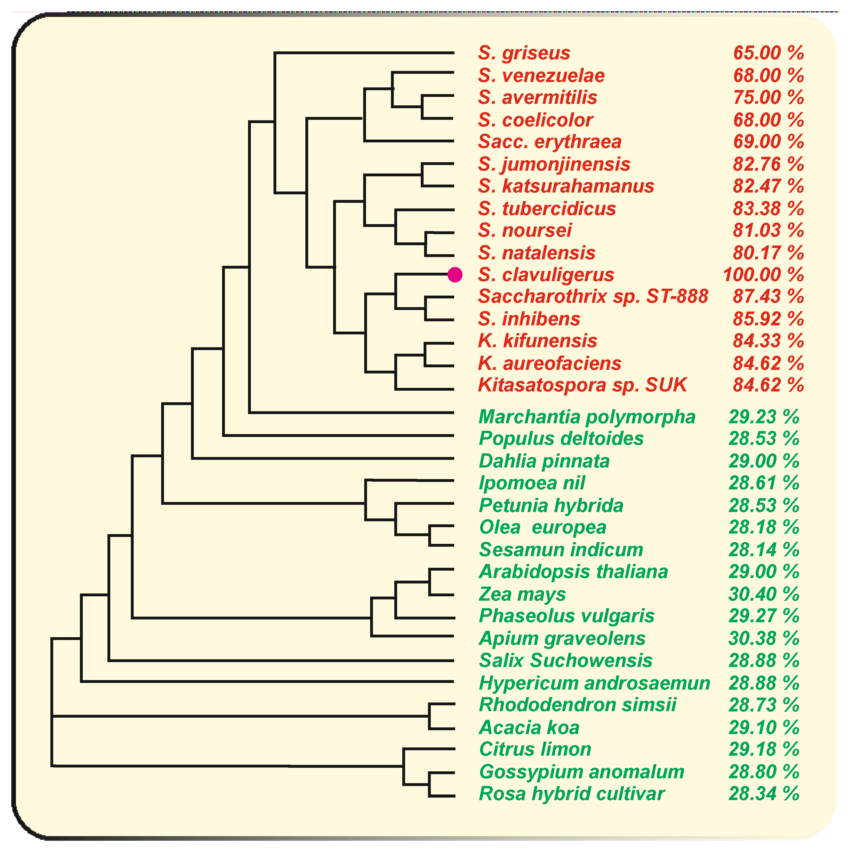 Antibiotics 11 00082 g003 Antibiotics 11 00082 g003
