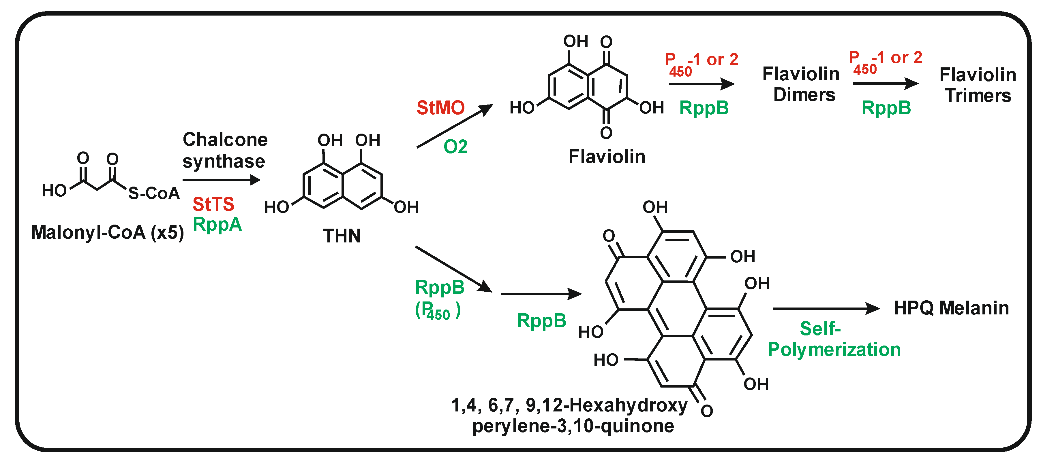 Antibiotics 11 00082 g004 Antibiotics 11 00082 g004
