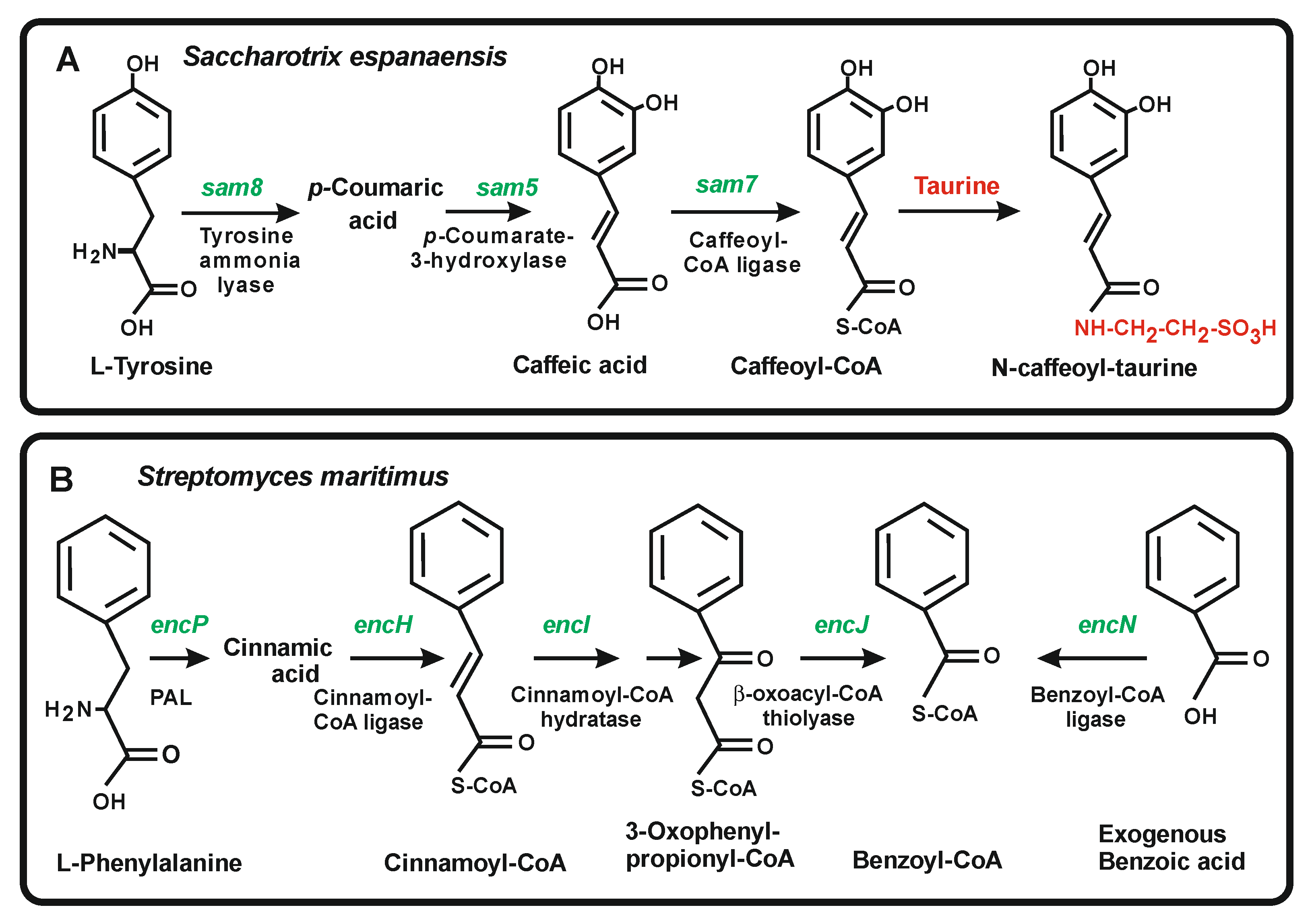 Antibiotics 11 00082 g006 Antibiotics 11 00082 g006