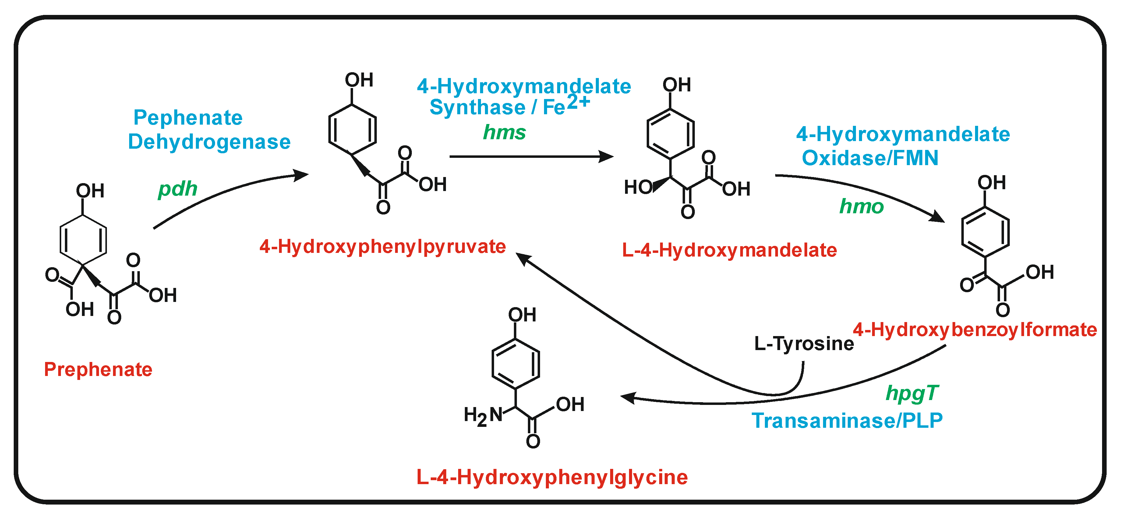 Antibiotics 11 00082 g007 Antibiotics 11 00082 g007