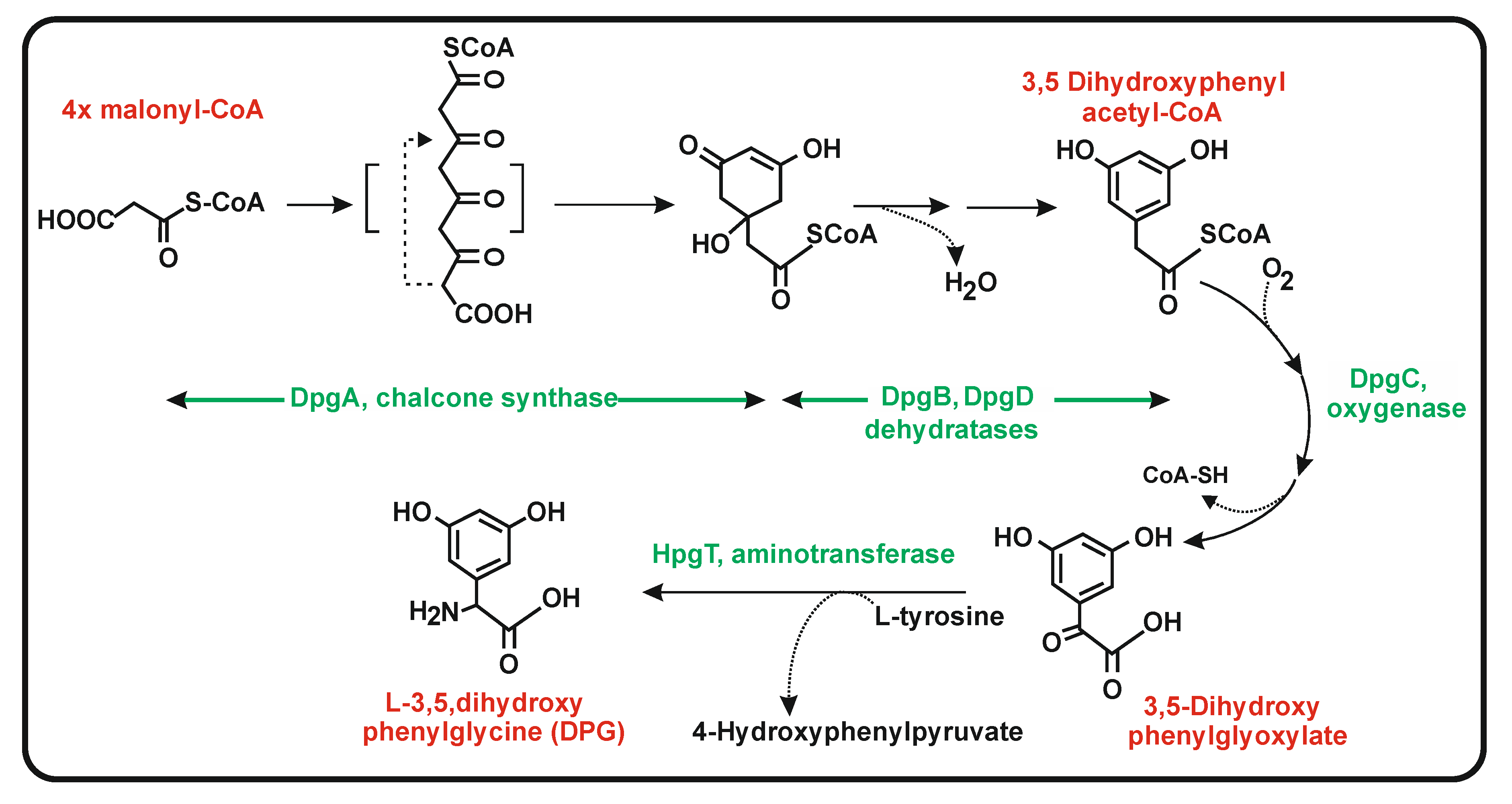 Antibiotics 11 00082 g008 Antibiotics 11 00082 g008