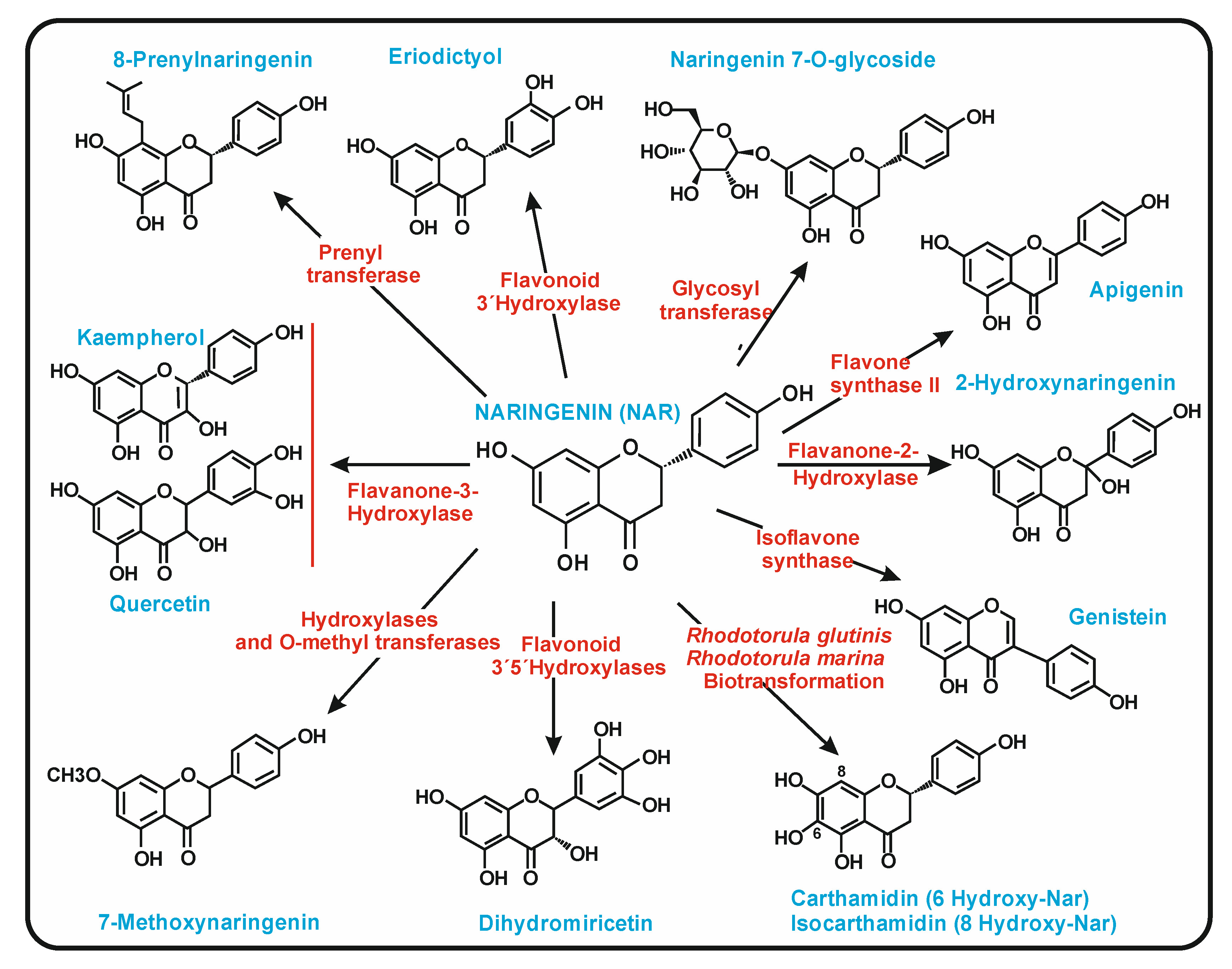 Antibiotics 11 00082 g009 Antibiotics 11 00082 g009