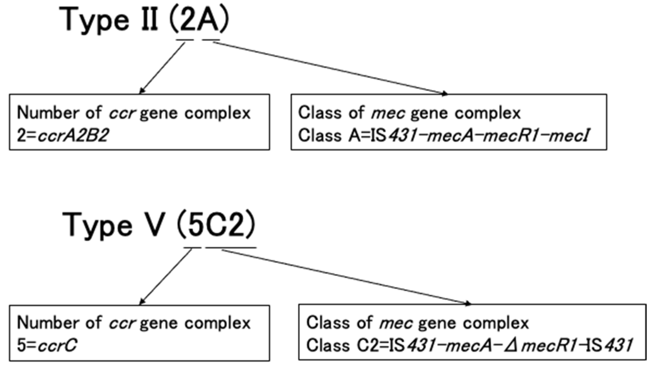 Antibiotics 11 00086 g004