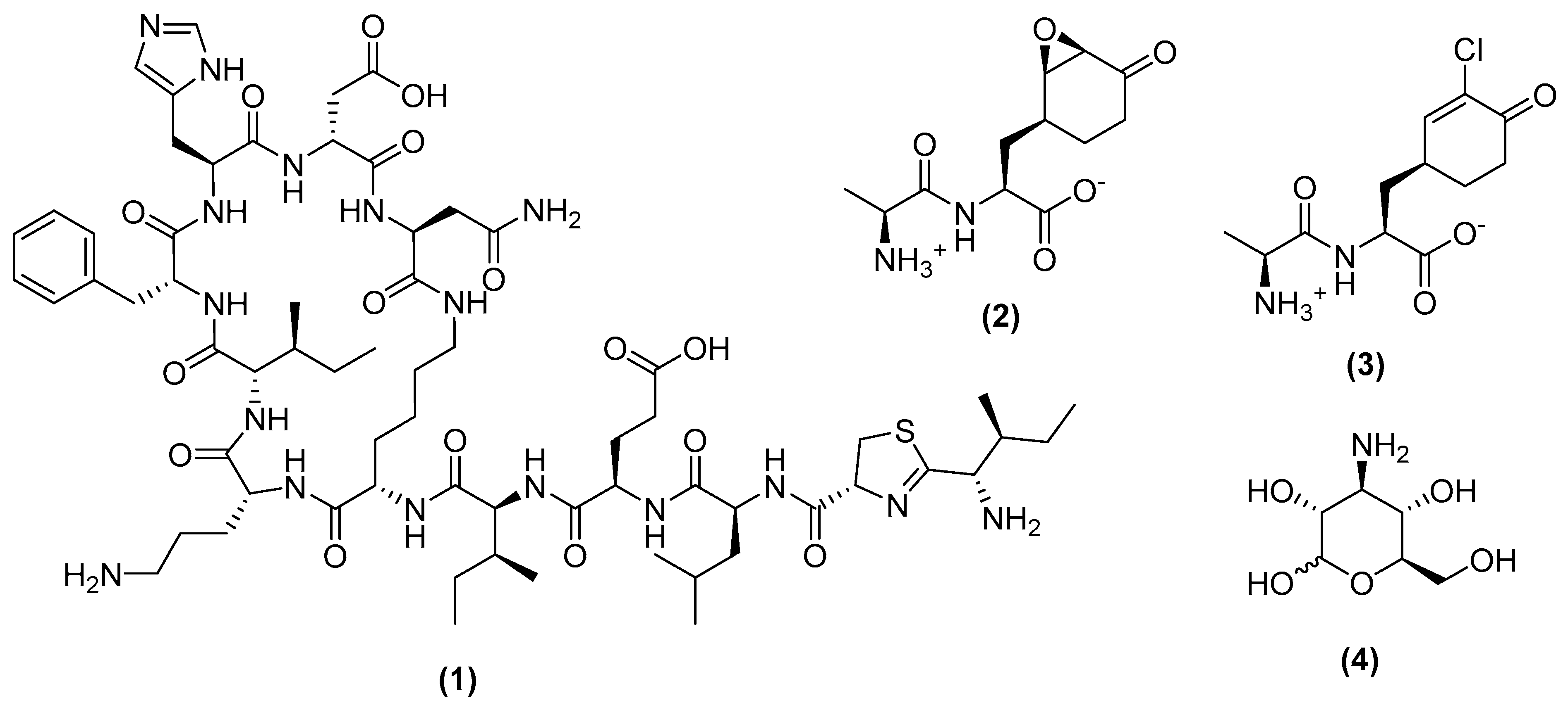 Antibiotics 11 00088 g003