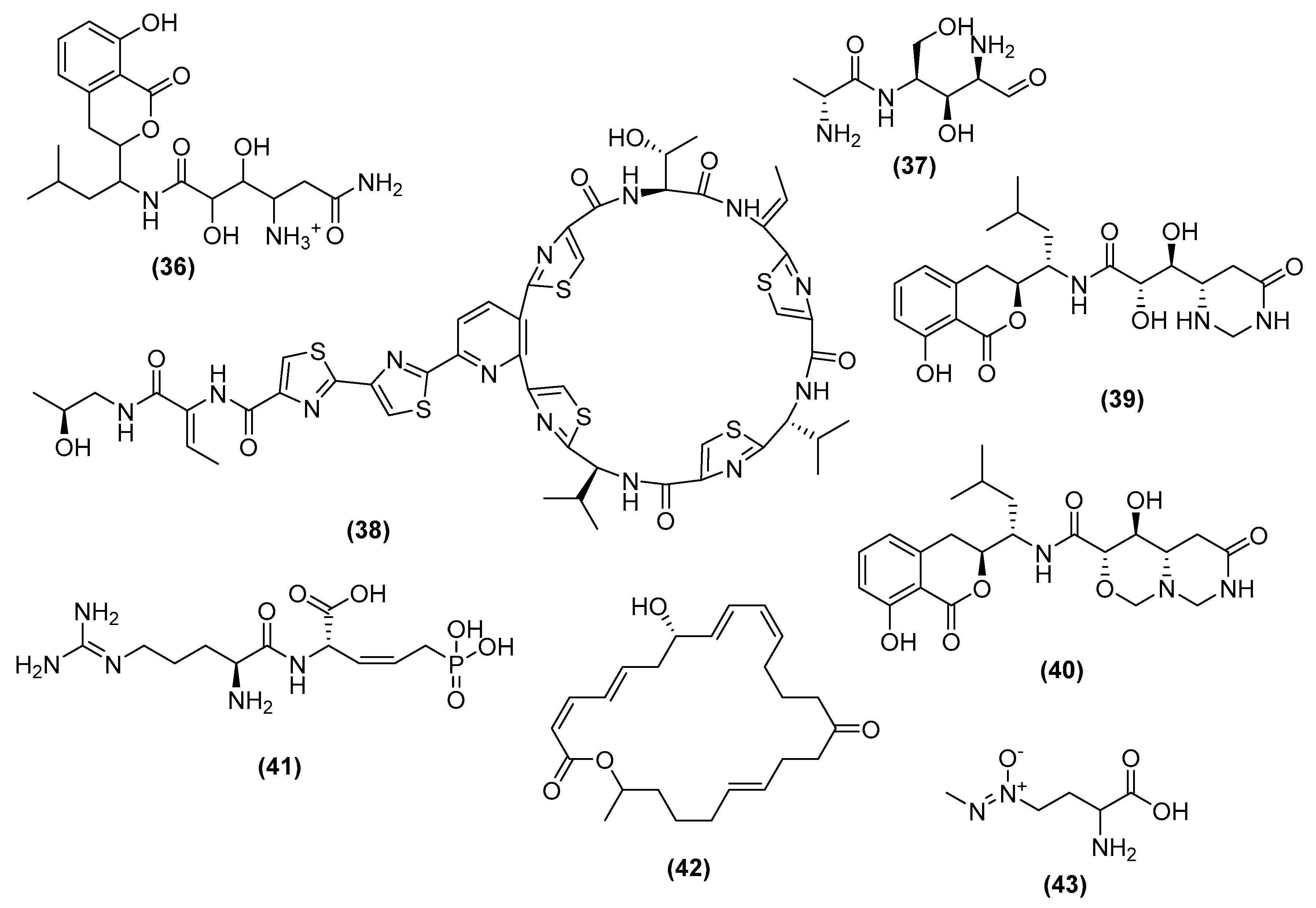 Antibiotics 11 00088 g010