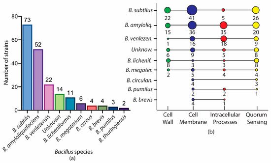 Antimicrobial Bacillus: Metabolites and Their Mode of Action