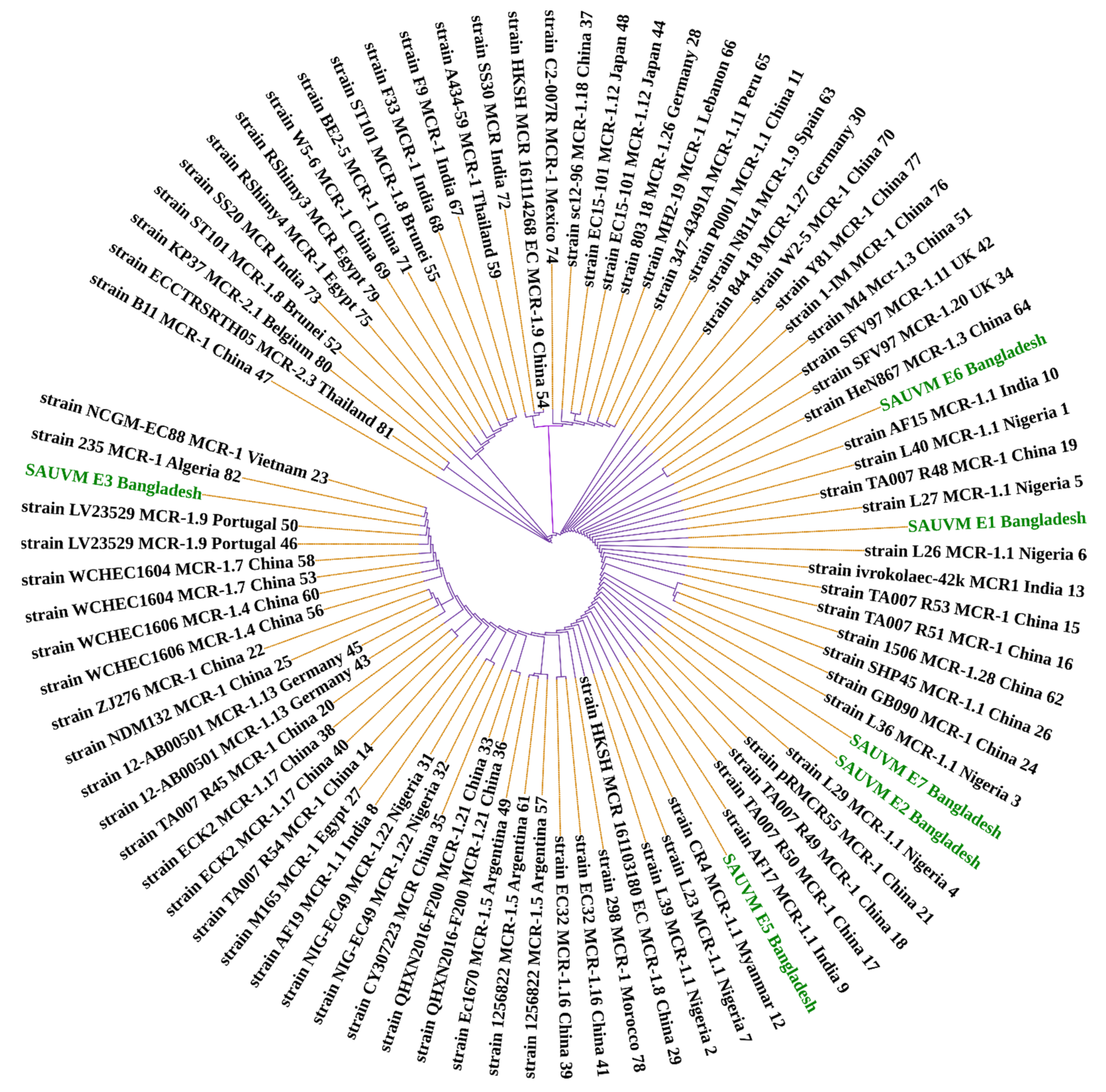 Antibiotics 11 00097 g002