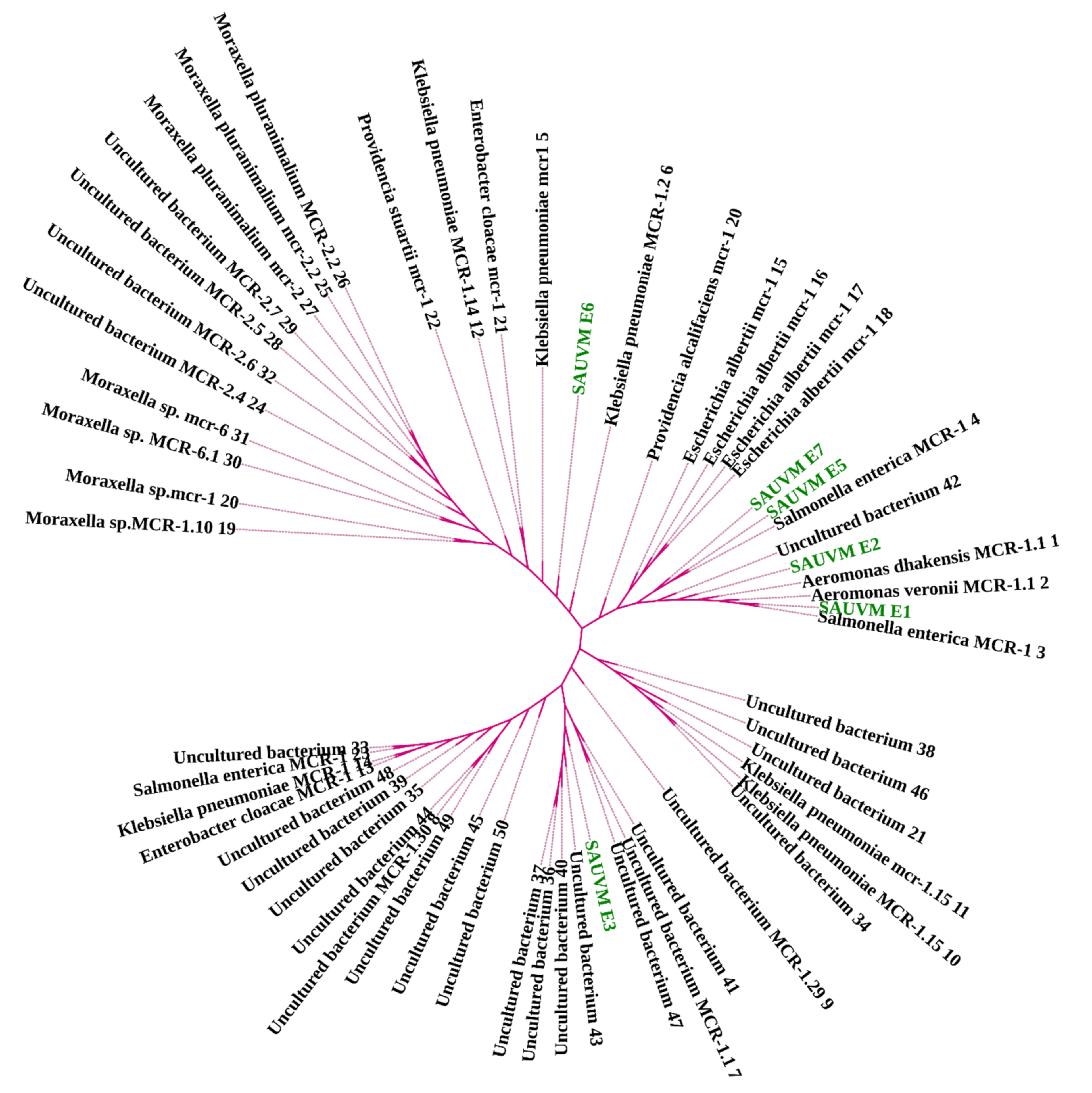 Antibiotics 11 00097 g003