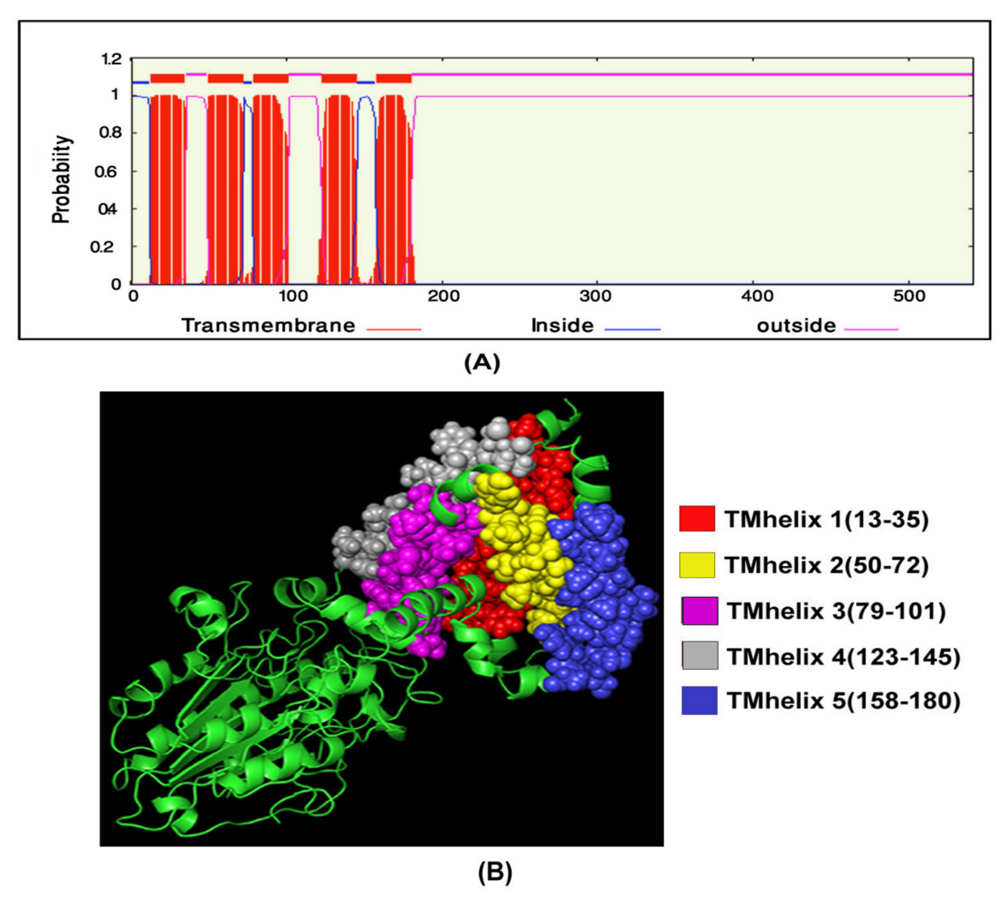 Antibiotics 11 00097 g004