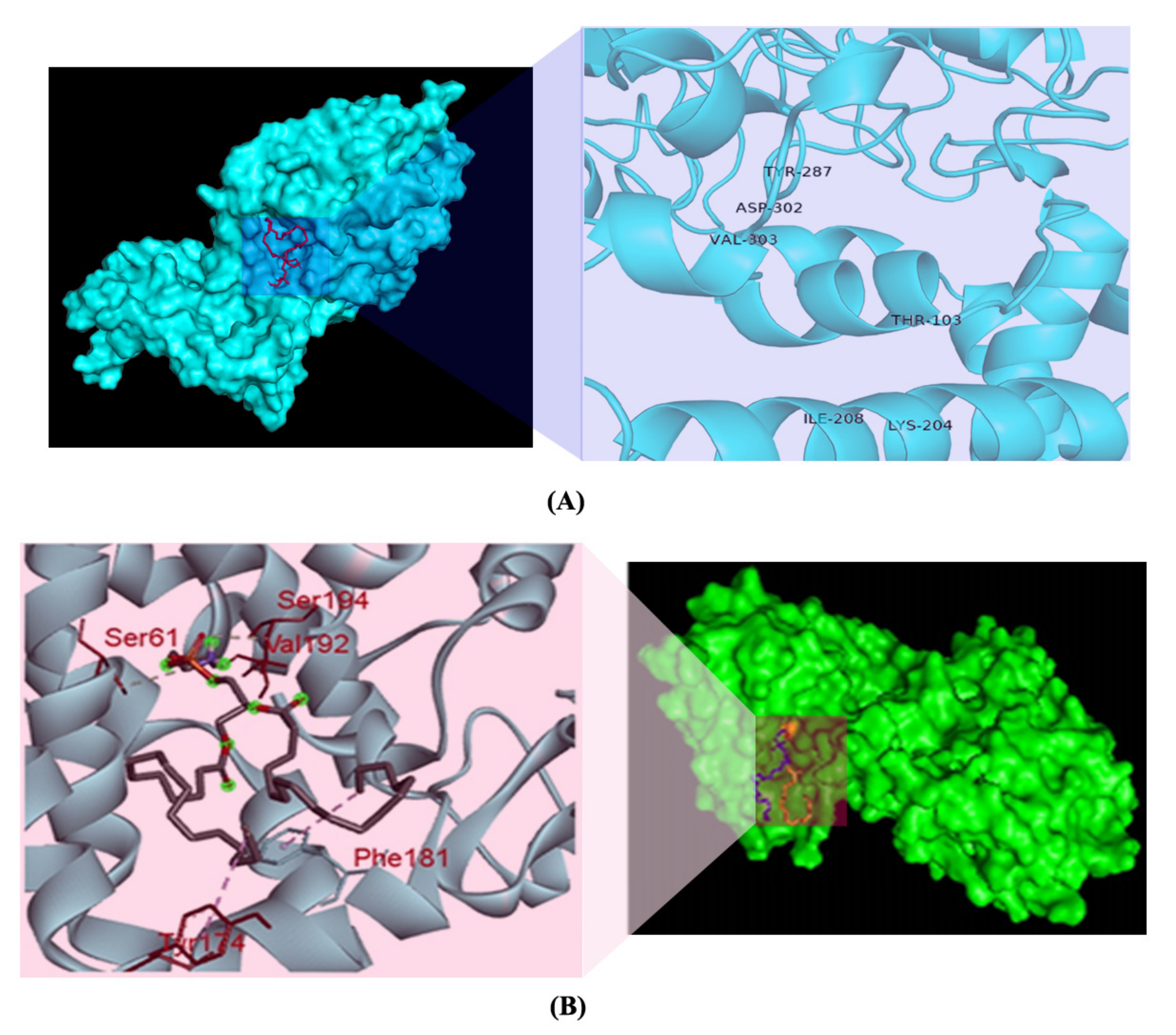 Antibiotics 11 00097 g006