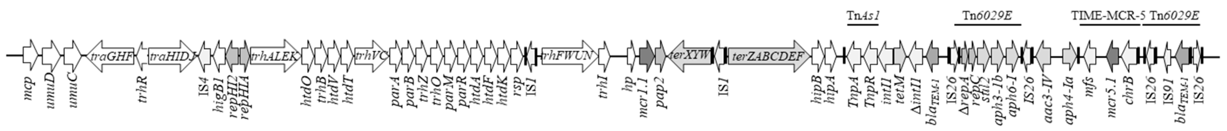 Antibiotics 11 00102 g001 Antibiotics 11 00102 g001