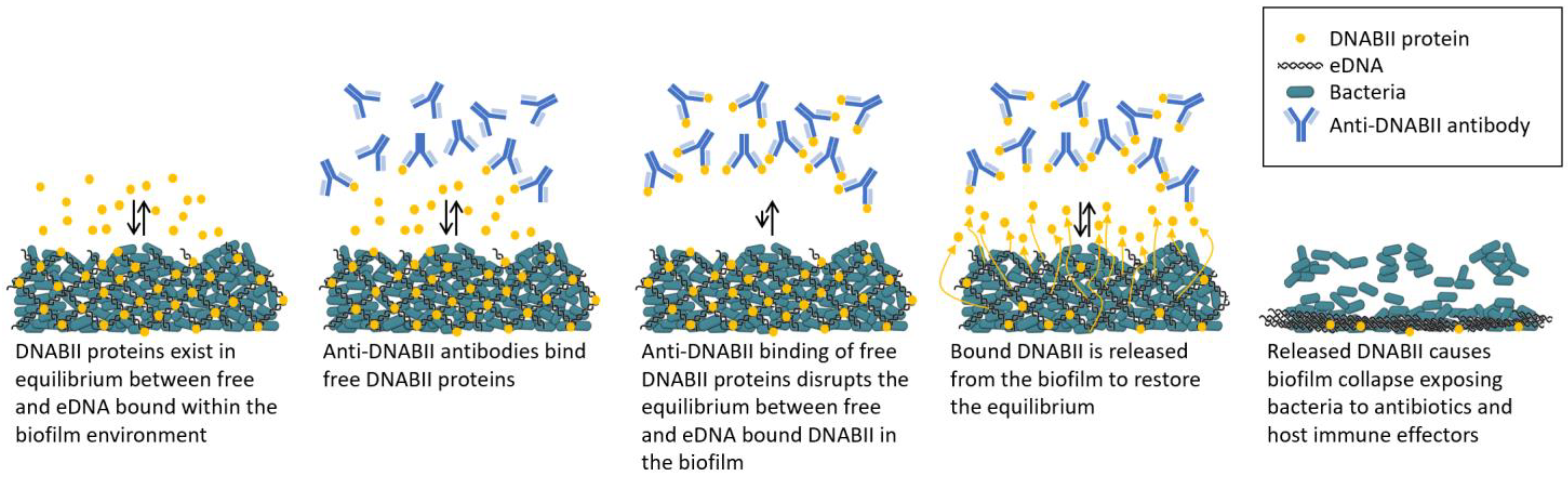 Antibiotics 11 00104 g002