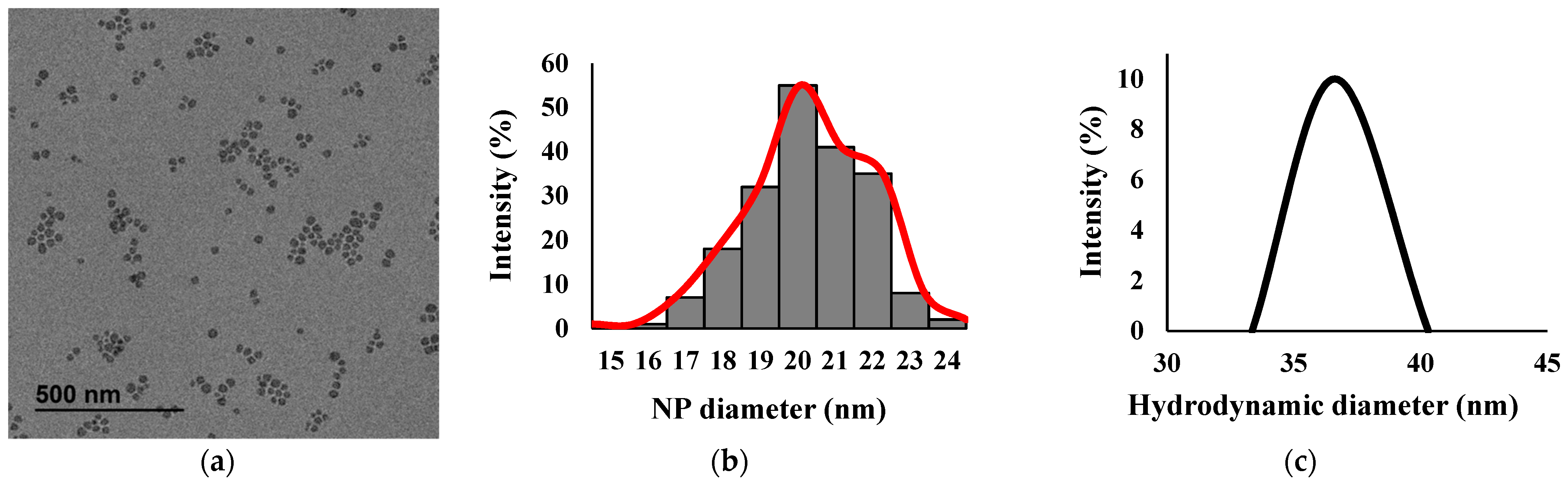 Antibiotics 11 00107 g001