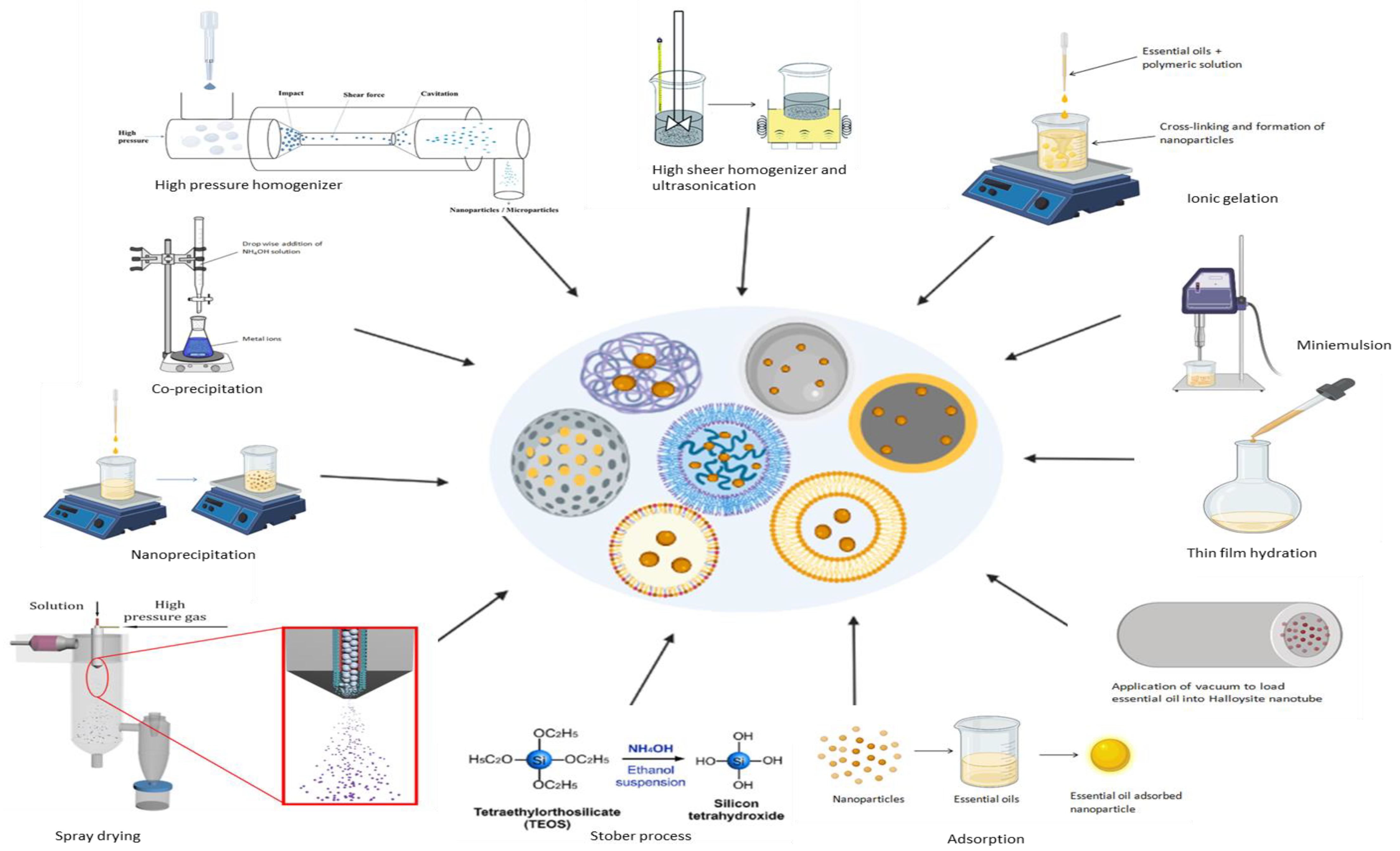 Antibiotics 11 00108 g003