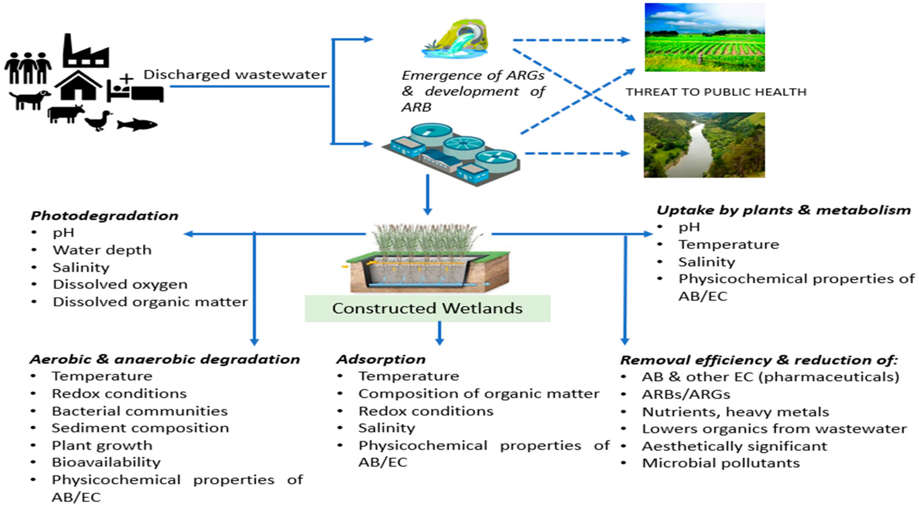 Antibiotics 11 00114 g001