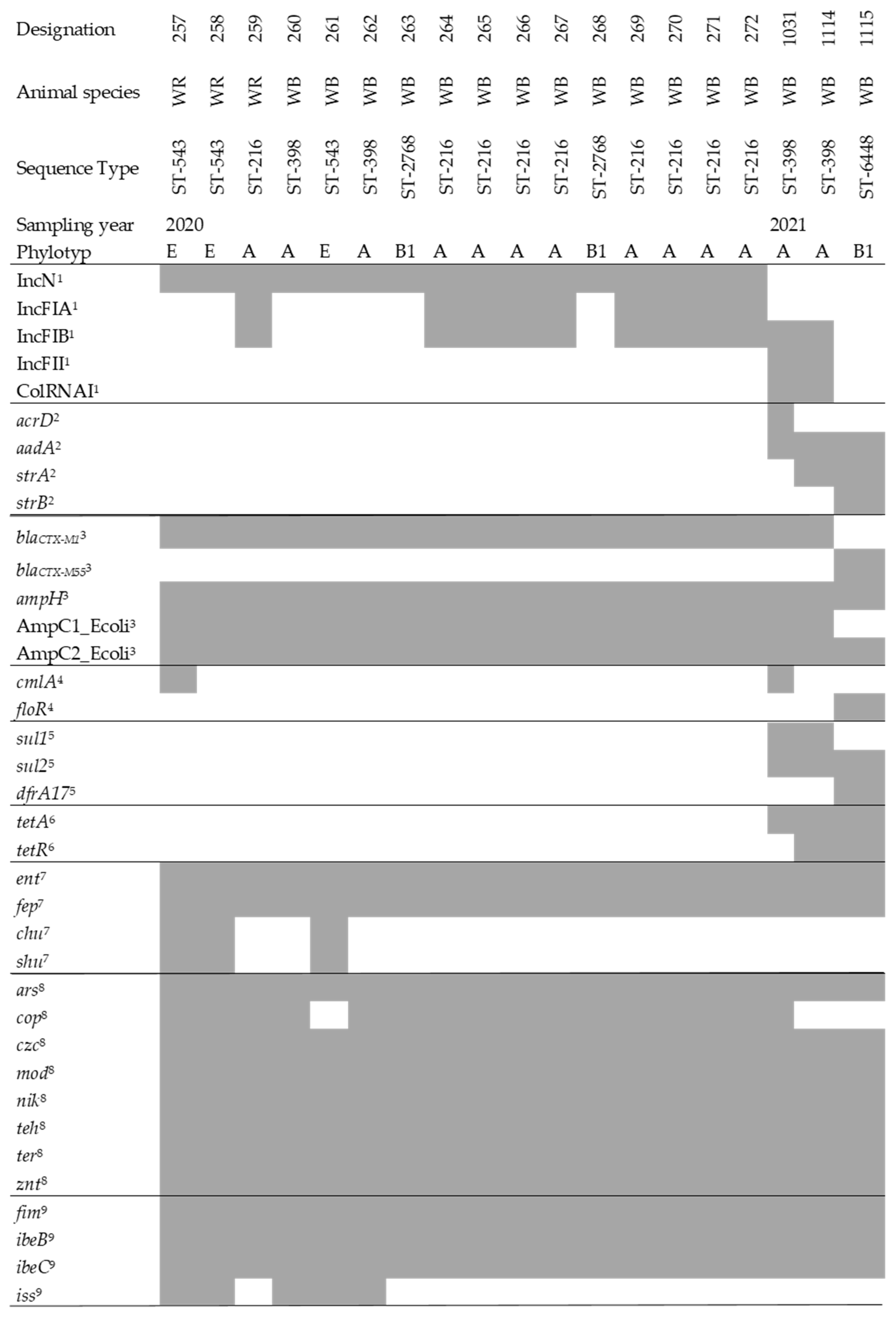 Sequence type diversity and population structure of ESBL-producing