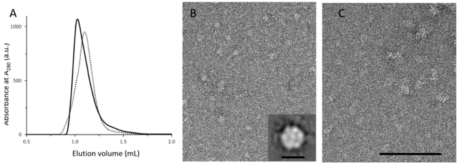 Antibiotics 11 00126 g003