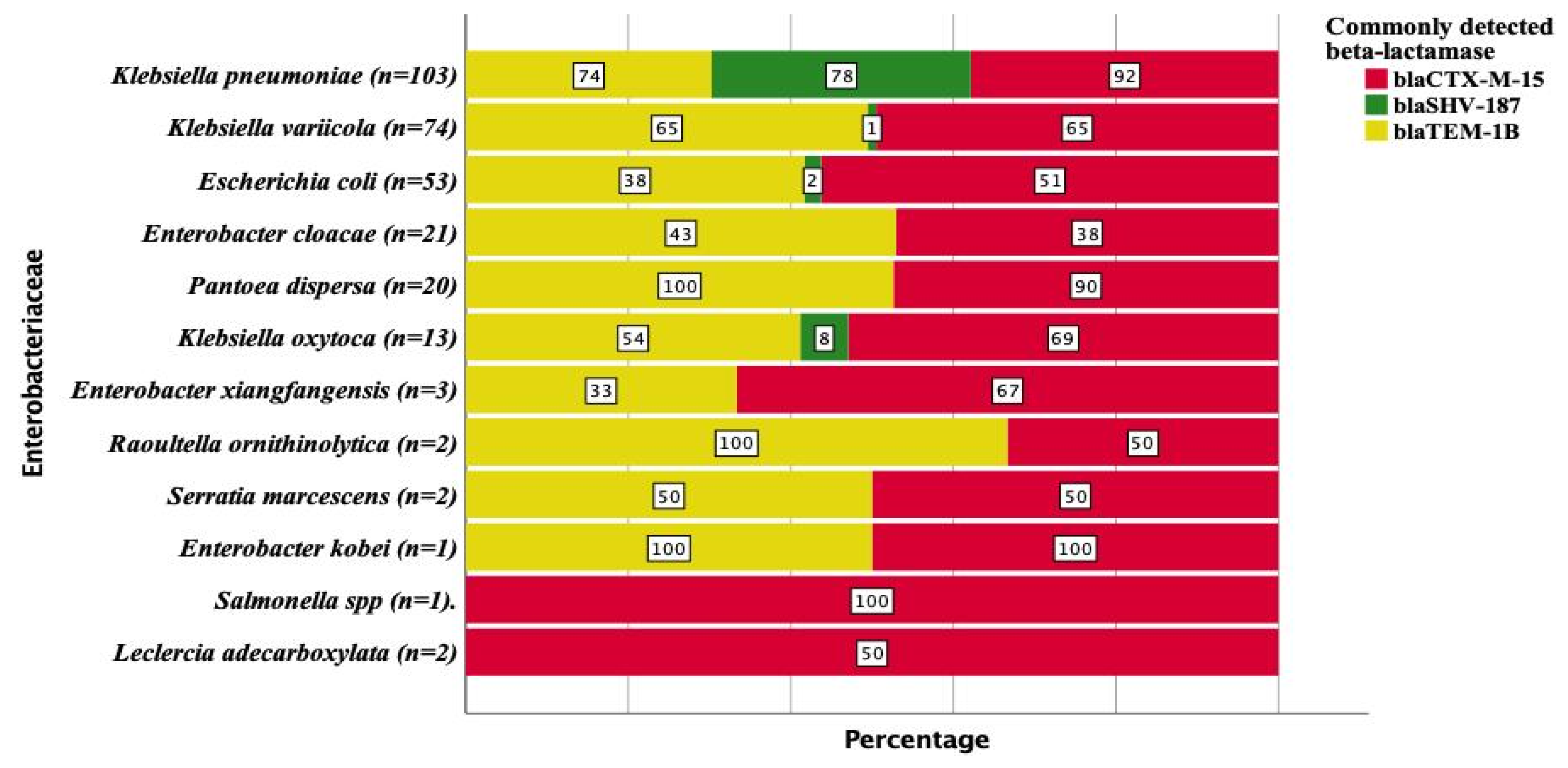 Antibiotics 11 00131 g004
