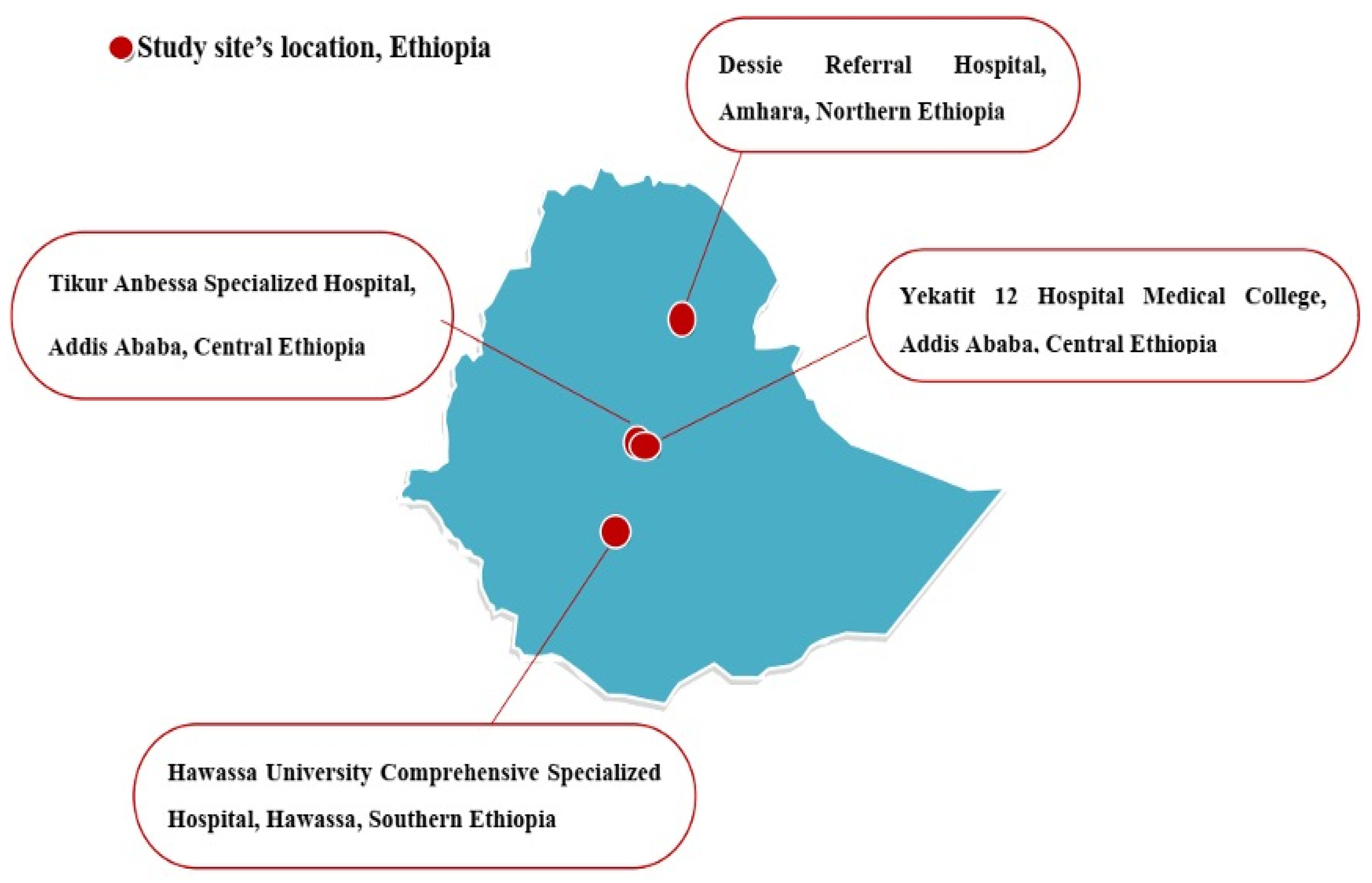 Antibiotics 11 00131 g005