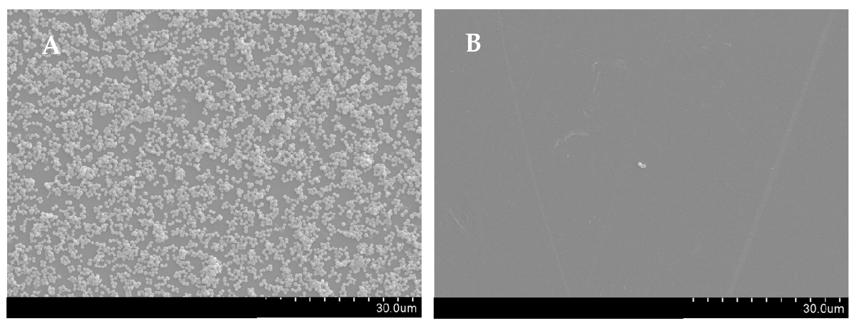 Antibiotics 11 00146 g004 Antibiotics 11 00146 g004