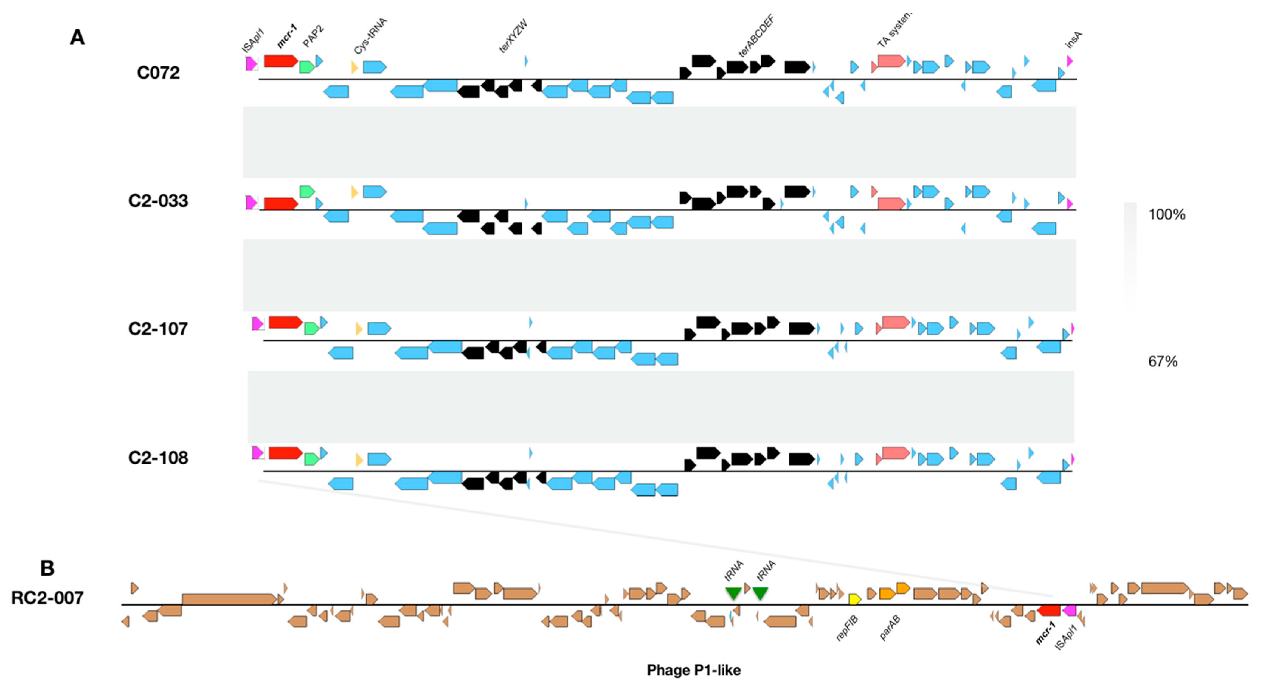 Antibiotics 11 00157 g003