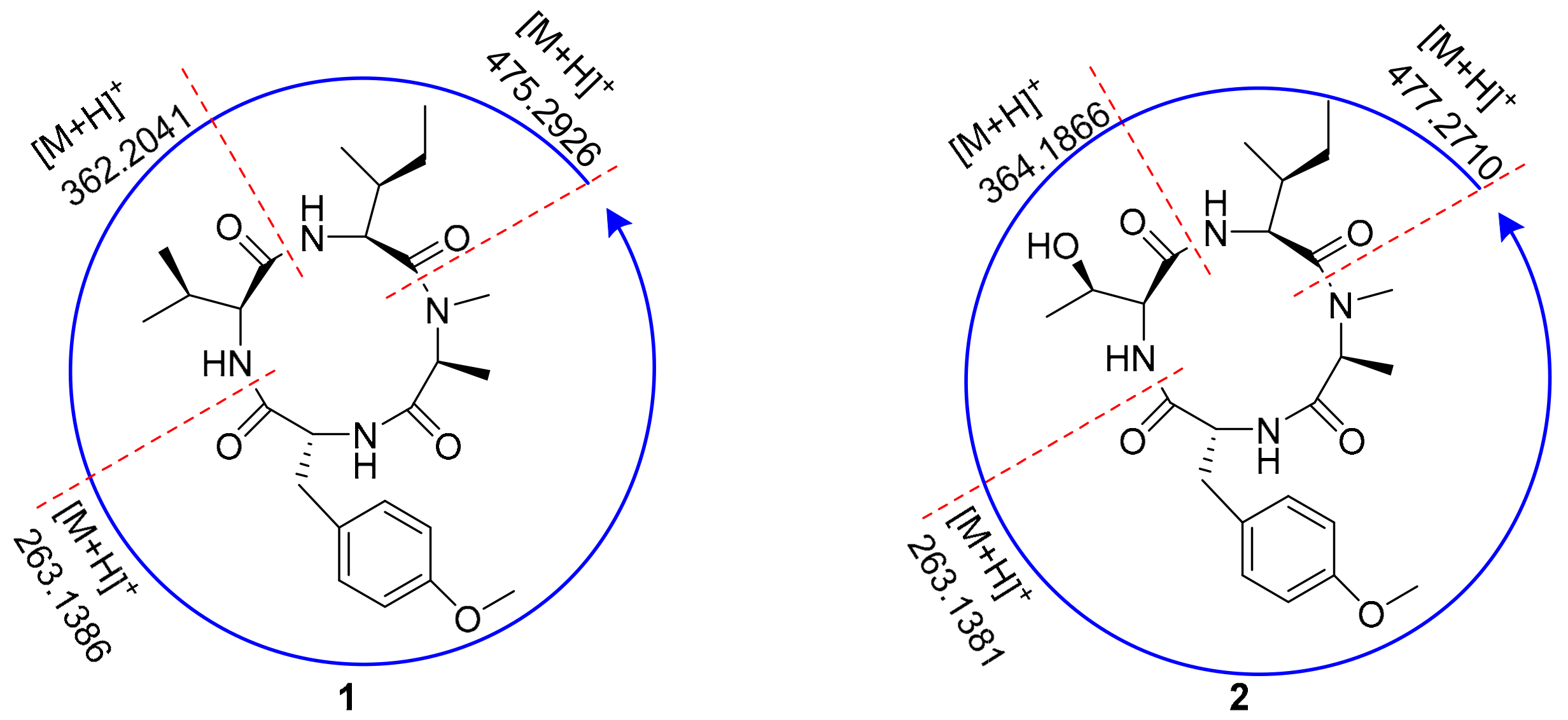 Antibiotics 11 00166 g004 Antibiotics 11 00166 g004