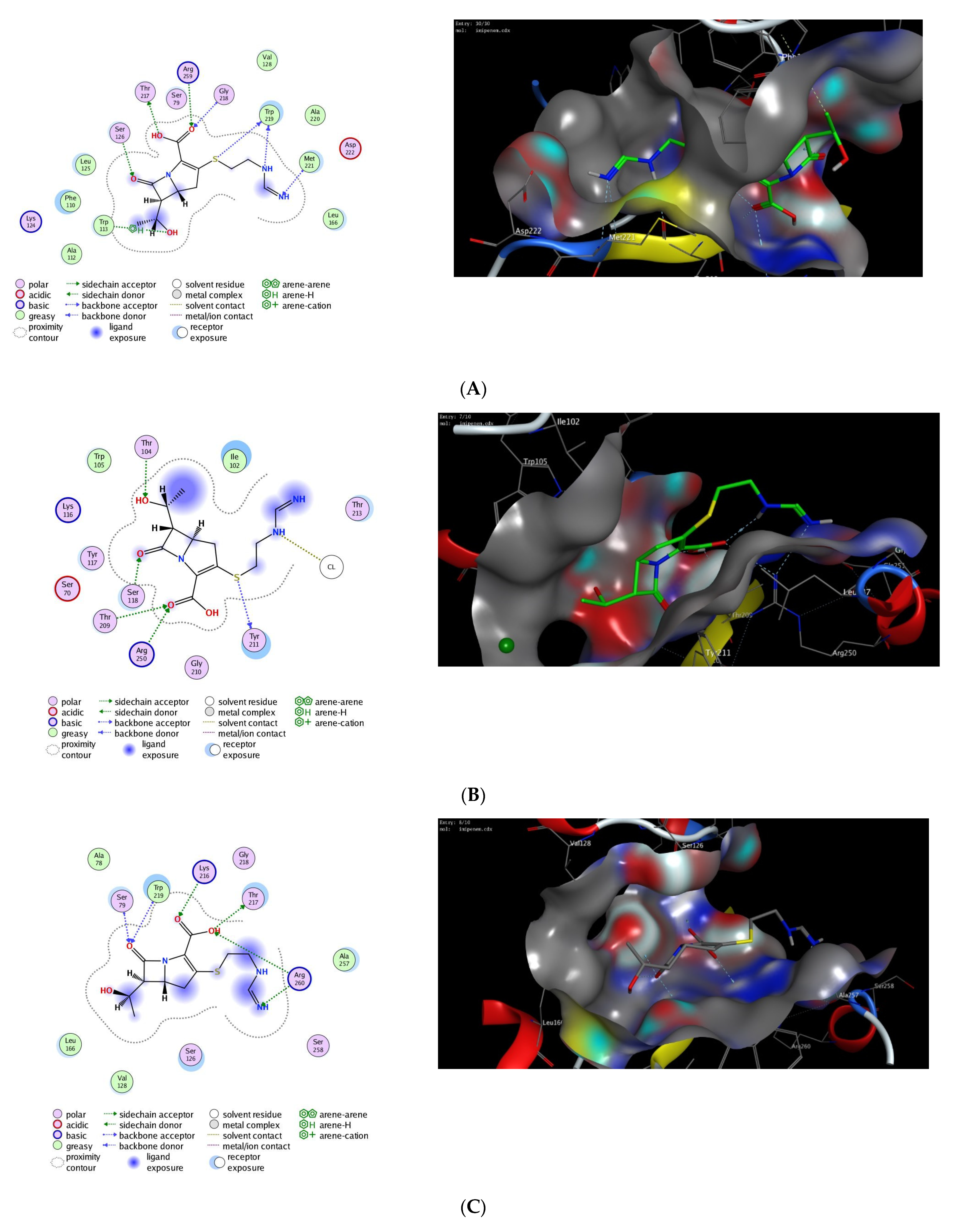 Antibiotics 11 00168 g002a