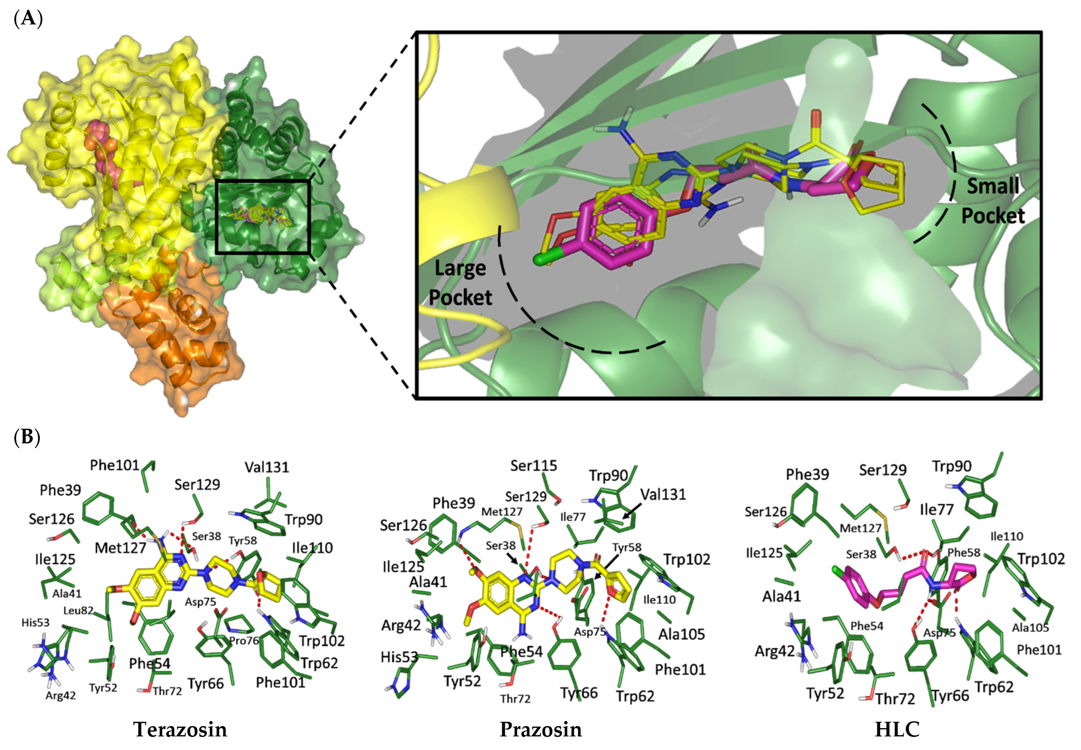 Antibiotics 11 00178 g001 Antibiotics 11 00178 g001