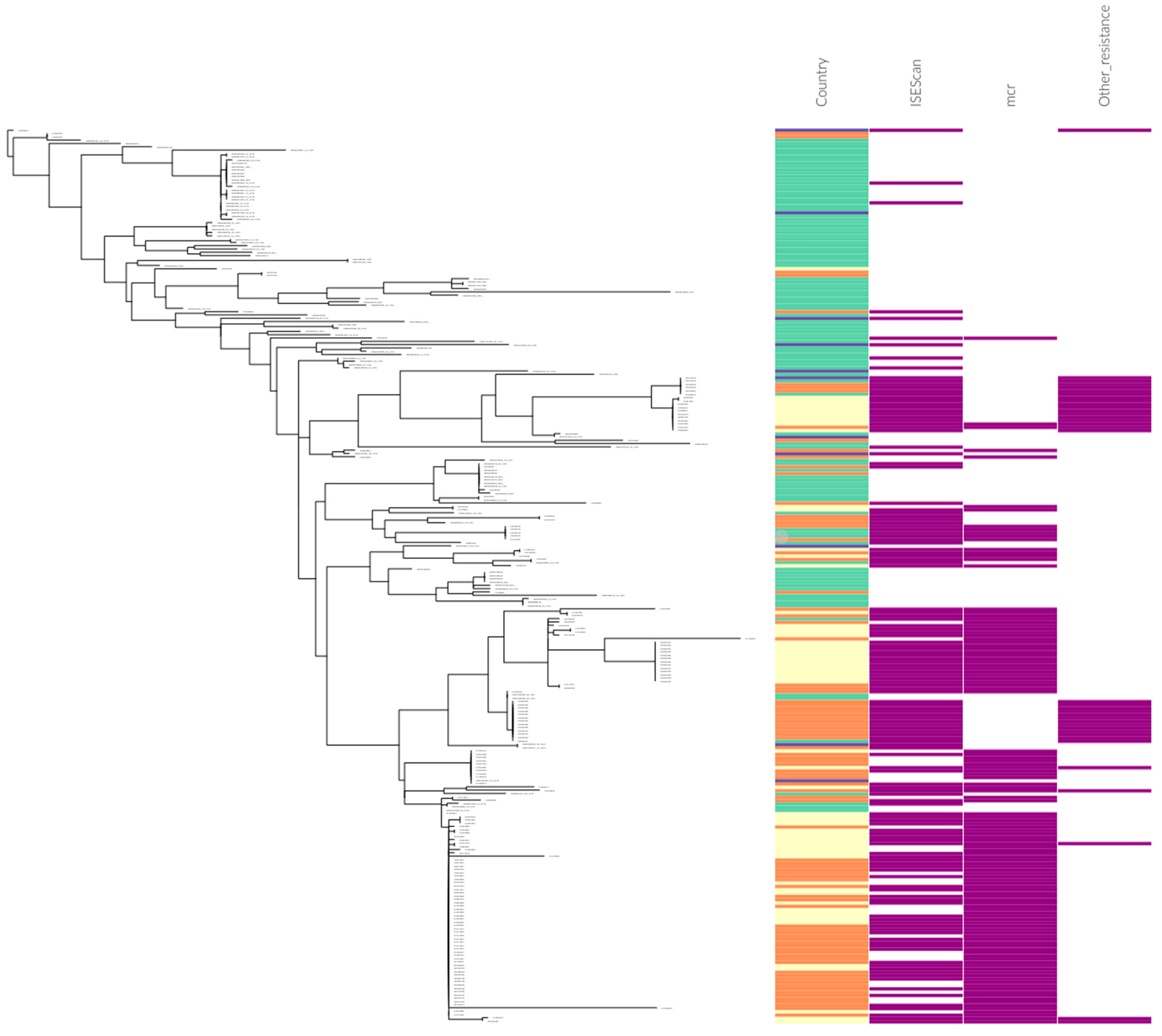 Antibiotics 11 00181 g001